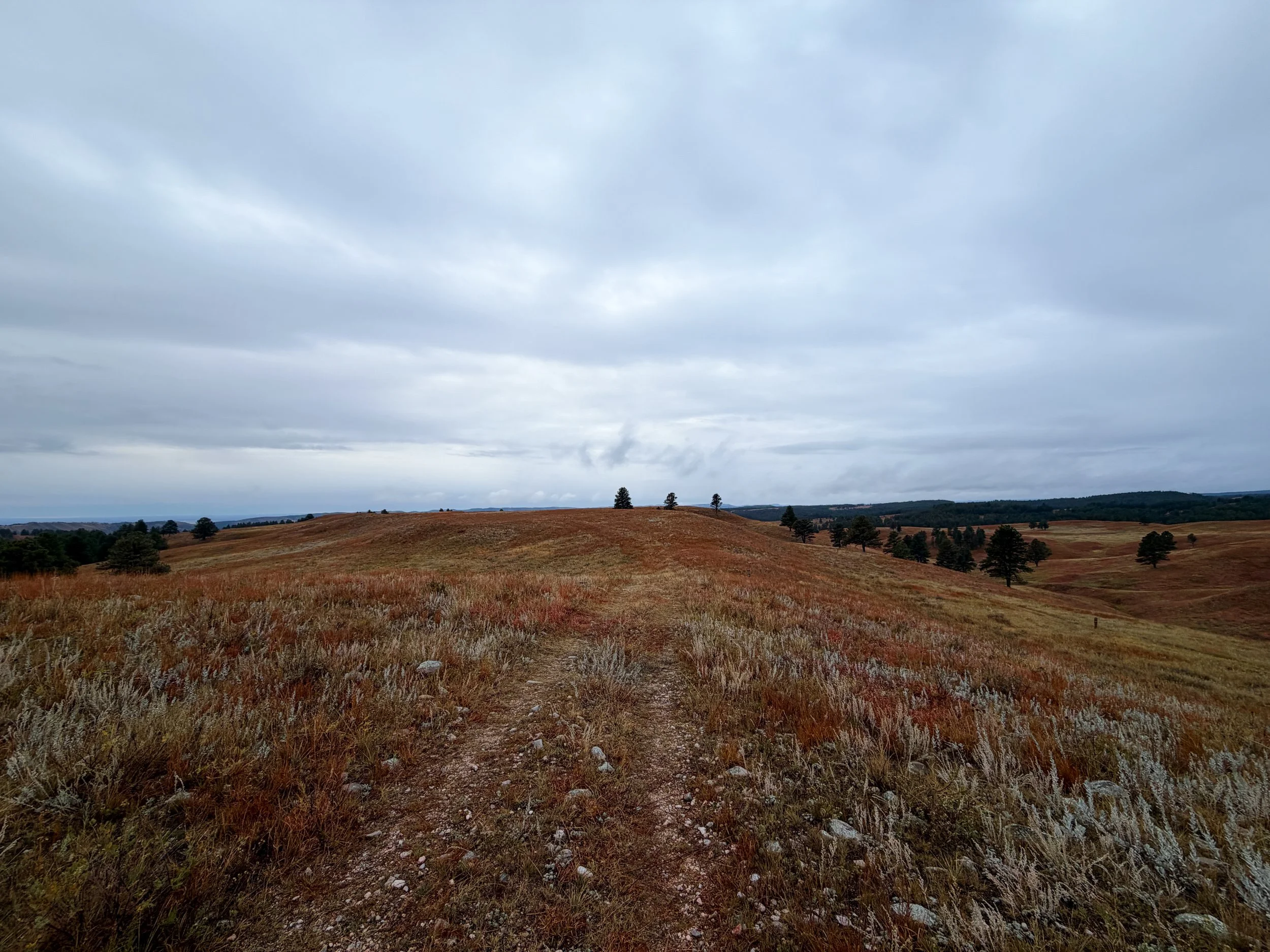 Highland Creek Trail Wind Cave National Park South Dakota