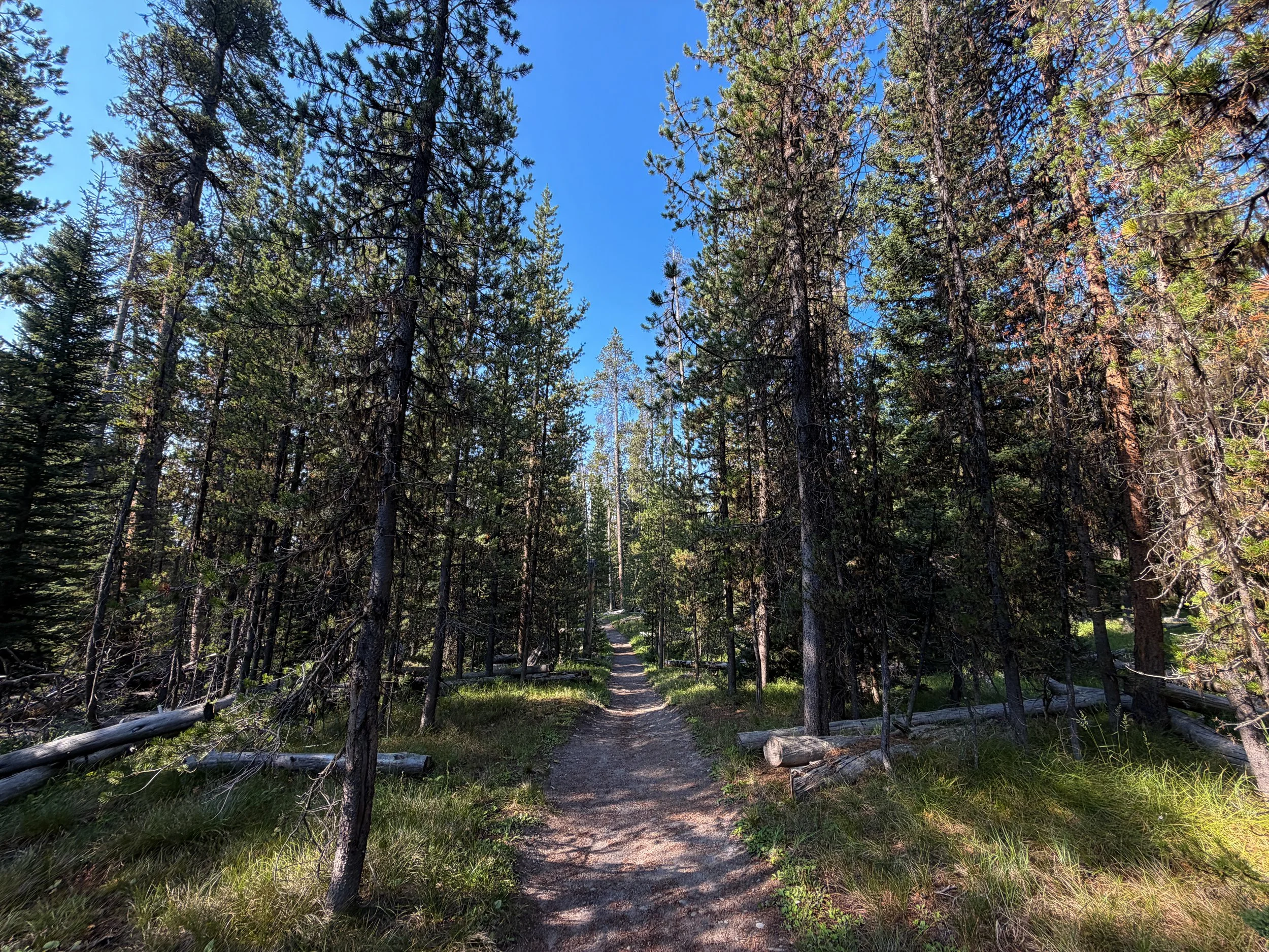 Natural Bridge Trail Yellowstone National Park Wyoming