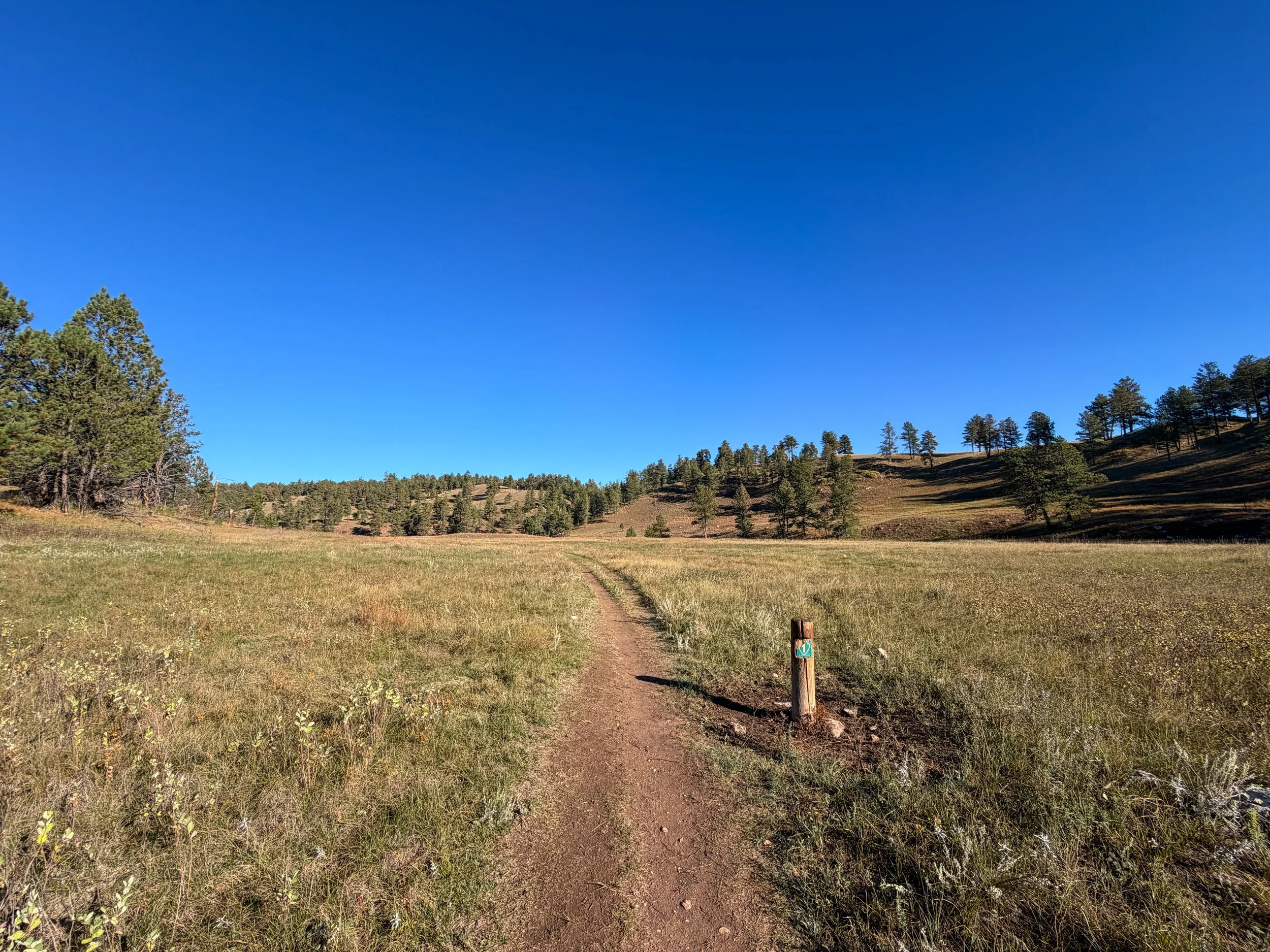 Cold Brook Canyon Trail Wind Cave National Park South Dakota