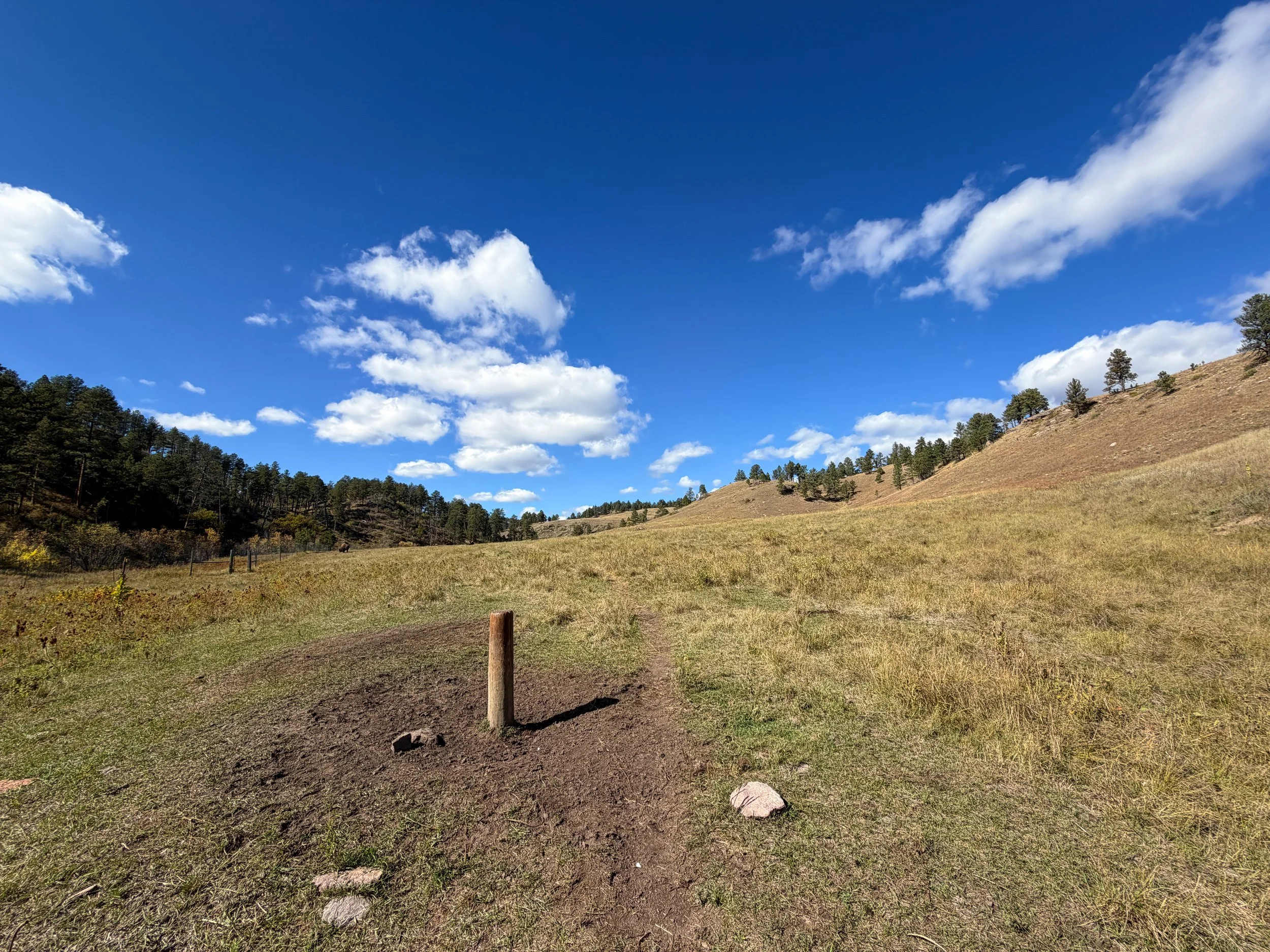 Lookout Point Loop Trail Wind Cave National Park South Dakota
