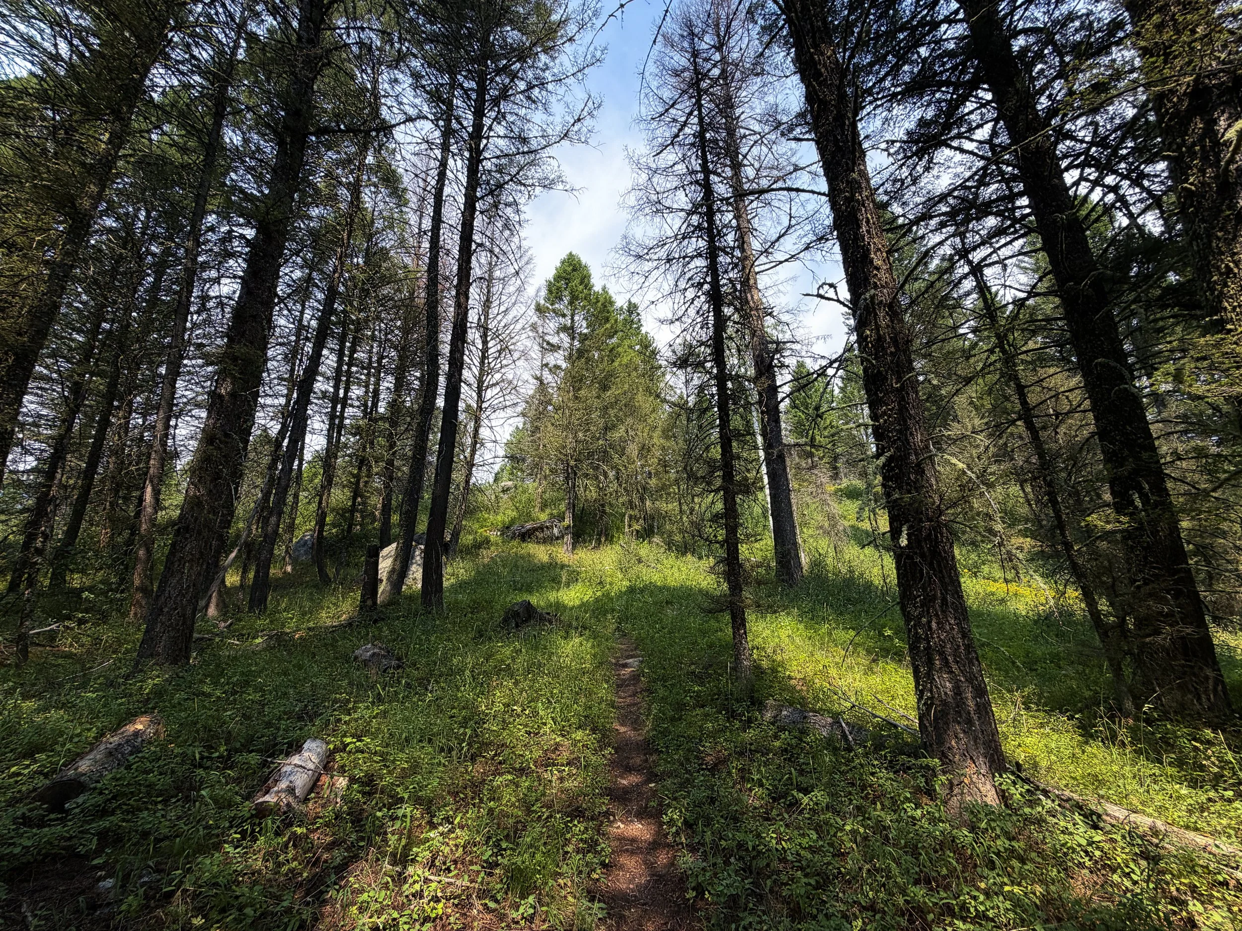 Boulder Ridge Trail Grand Teton National Park Wyoming