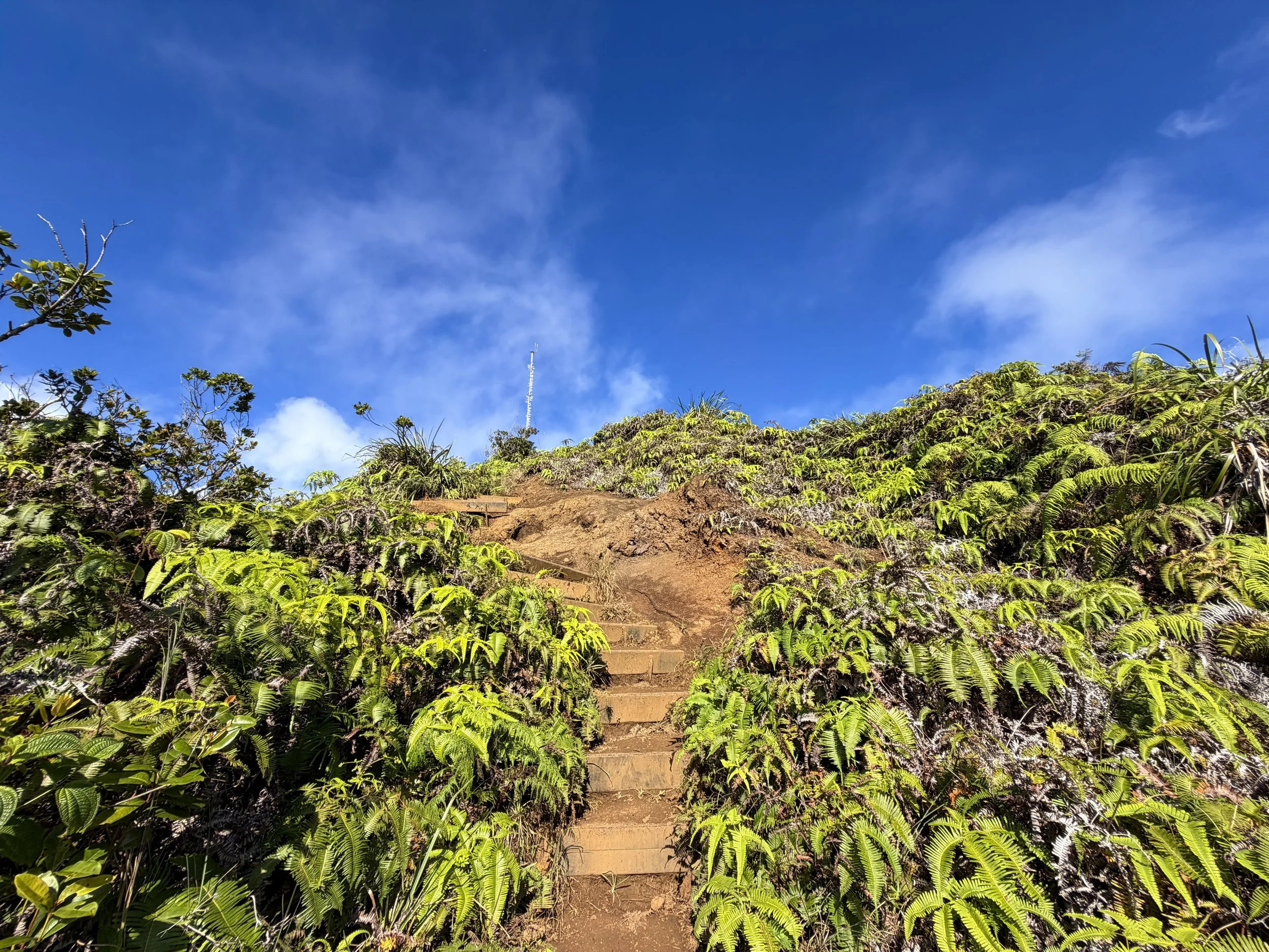 Wiliwilinui Ridge Trail Stairs Oahu Hawaii