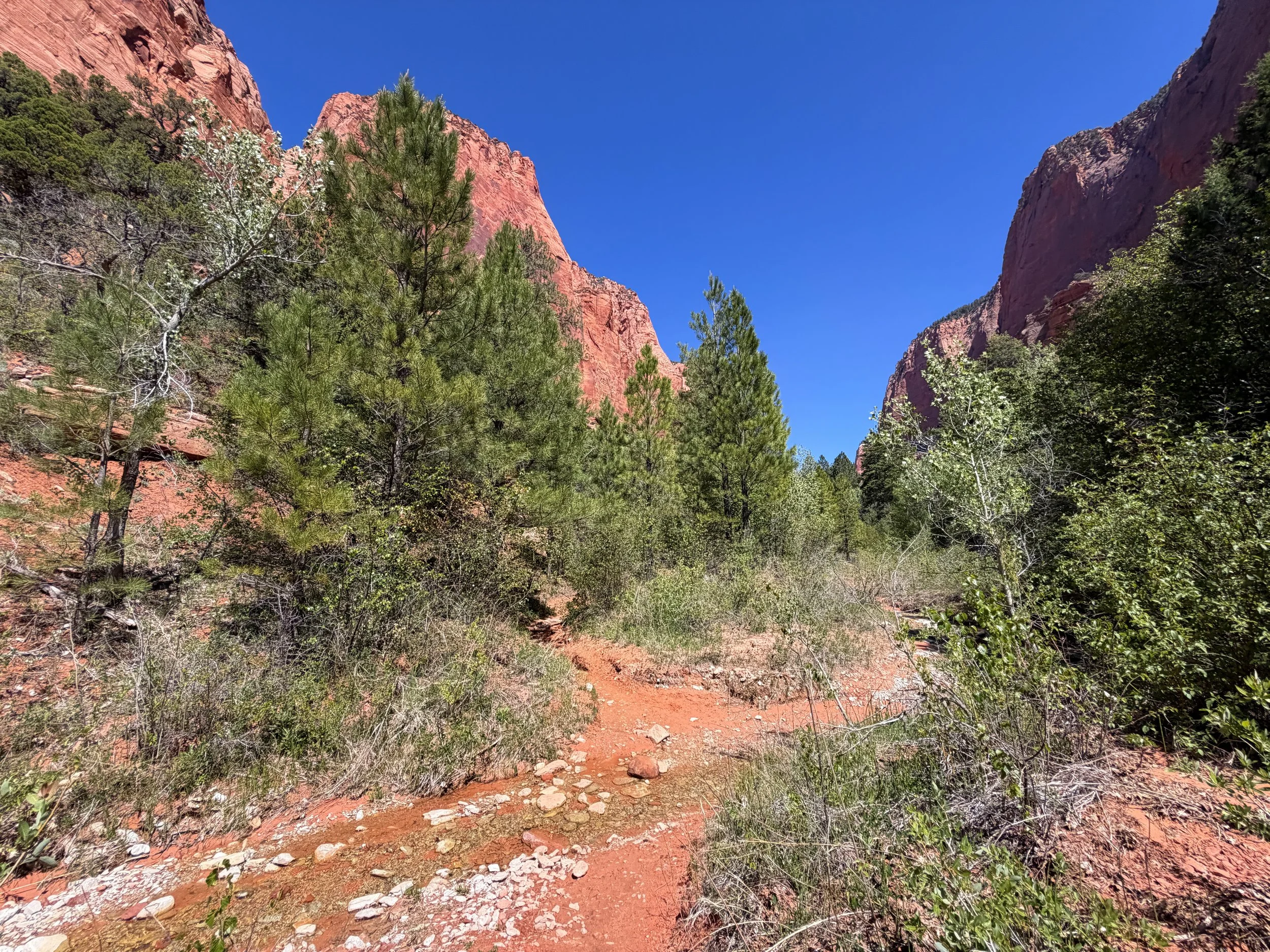 Taylor Creek Trail Zion National Park Utah