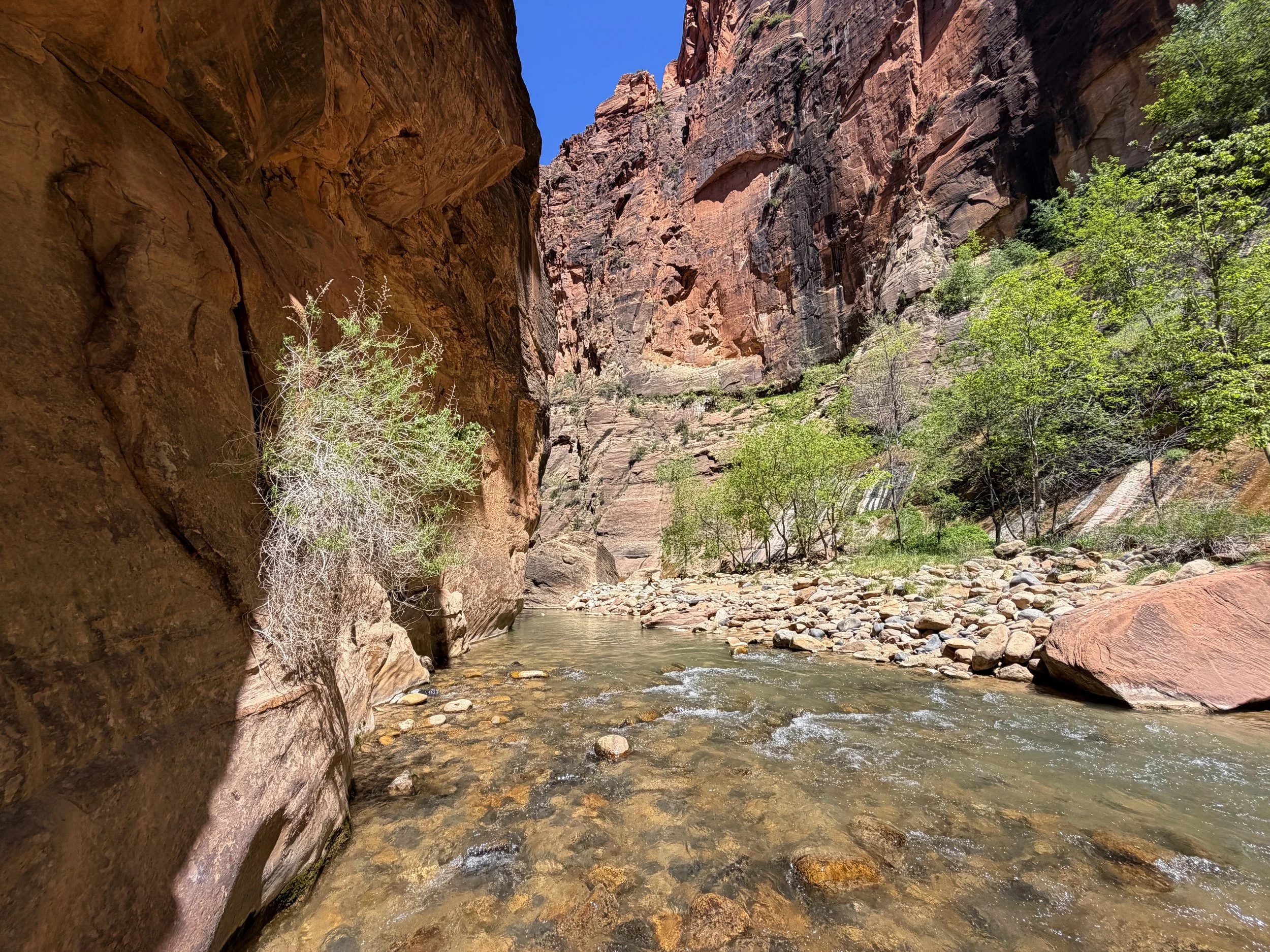 Narrows Hike Zion National Park Utah
