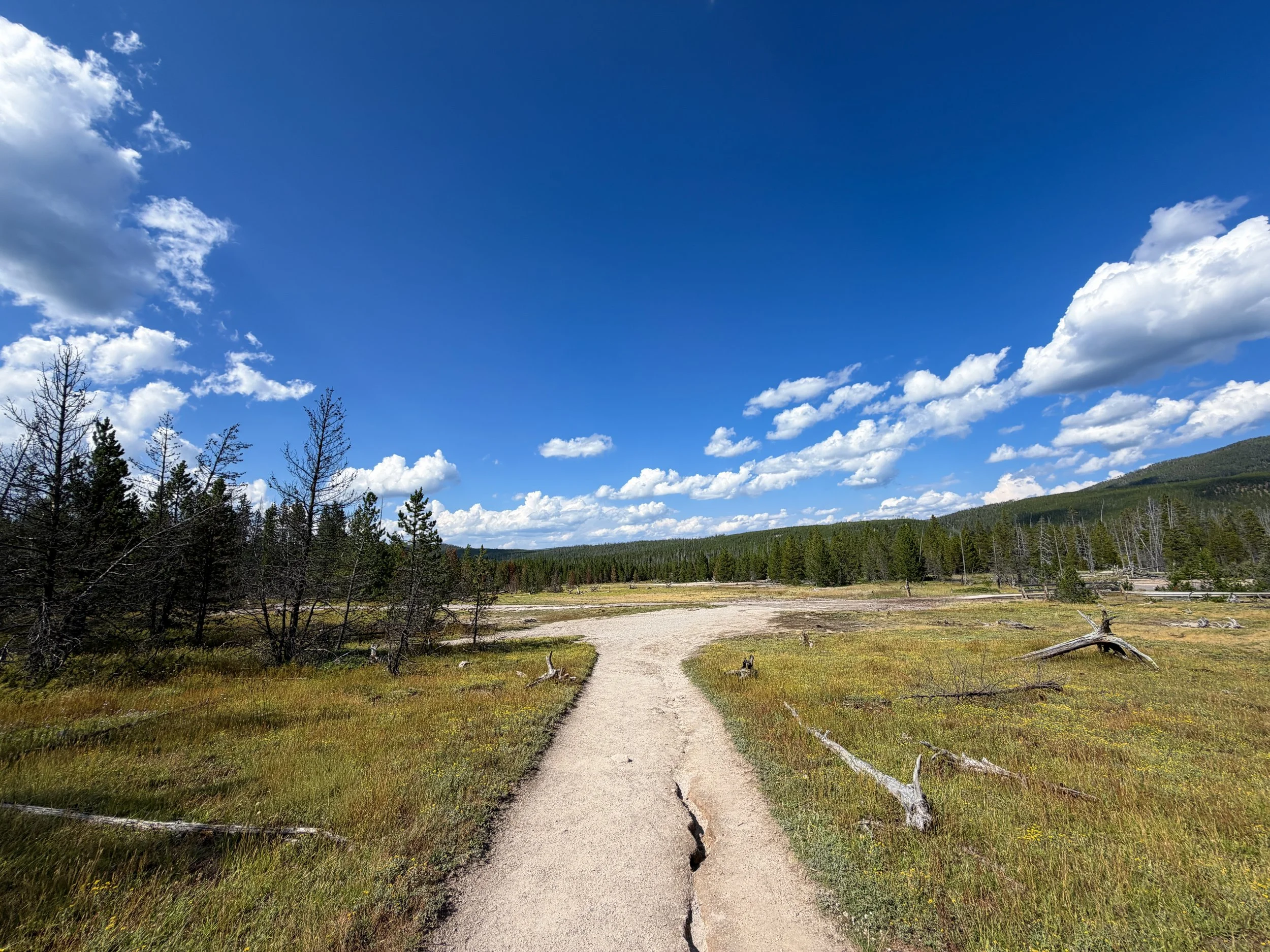 Artists Paintpots Trail Yellowstone National Park Wyoming