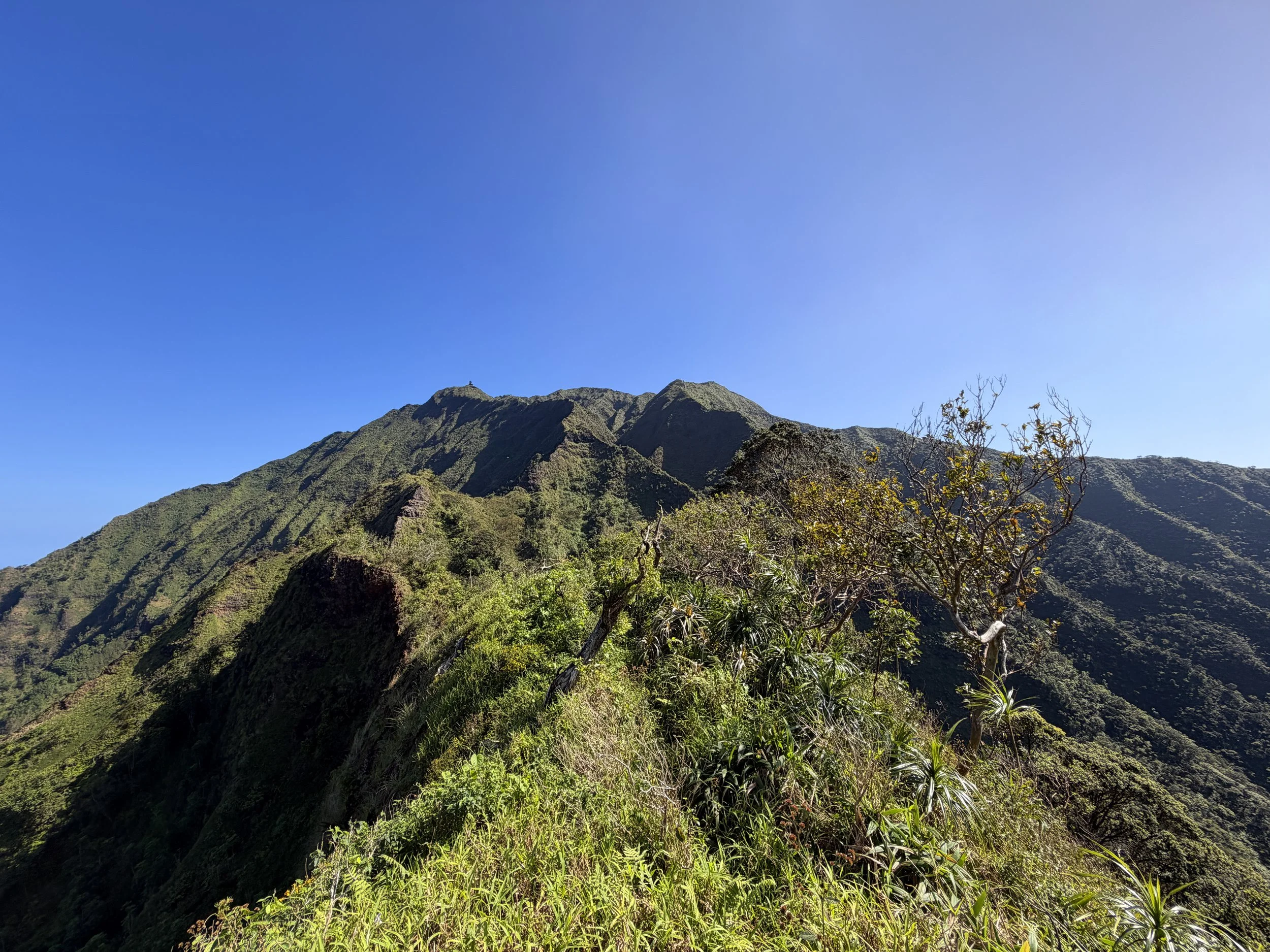 Moanalua Saddle Koolau Summit Trail Oahu Hawaii