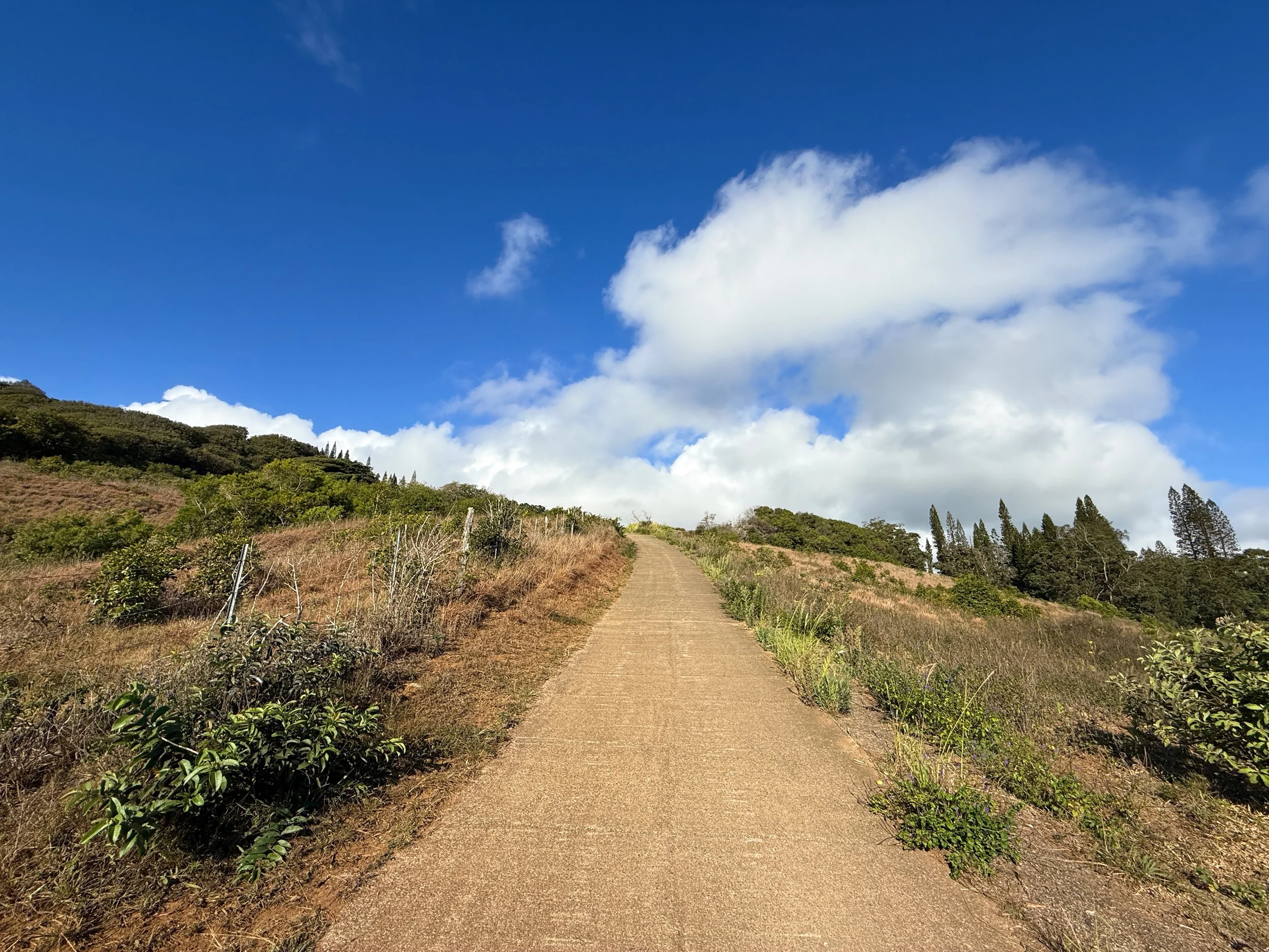 79 Water Ridge Path Hiking the Waiheʻe Ridge Trail on Maui, Hawaiʻi — noahawaii