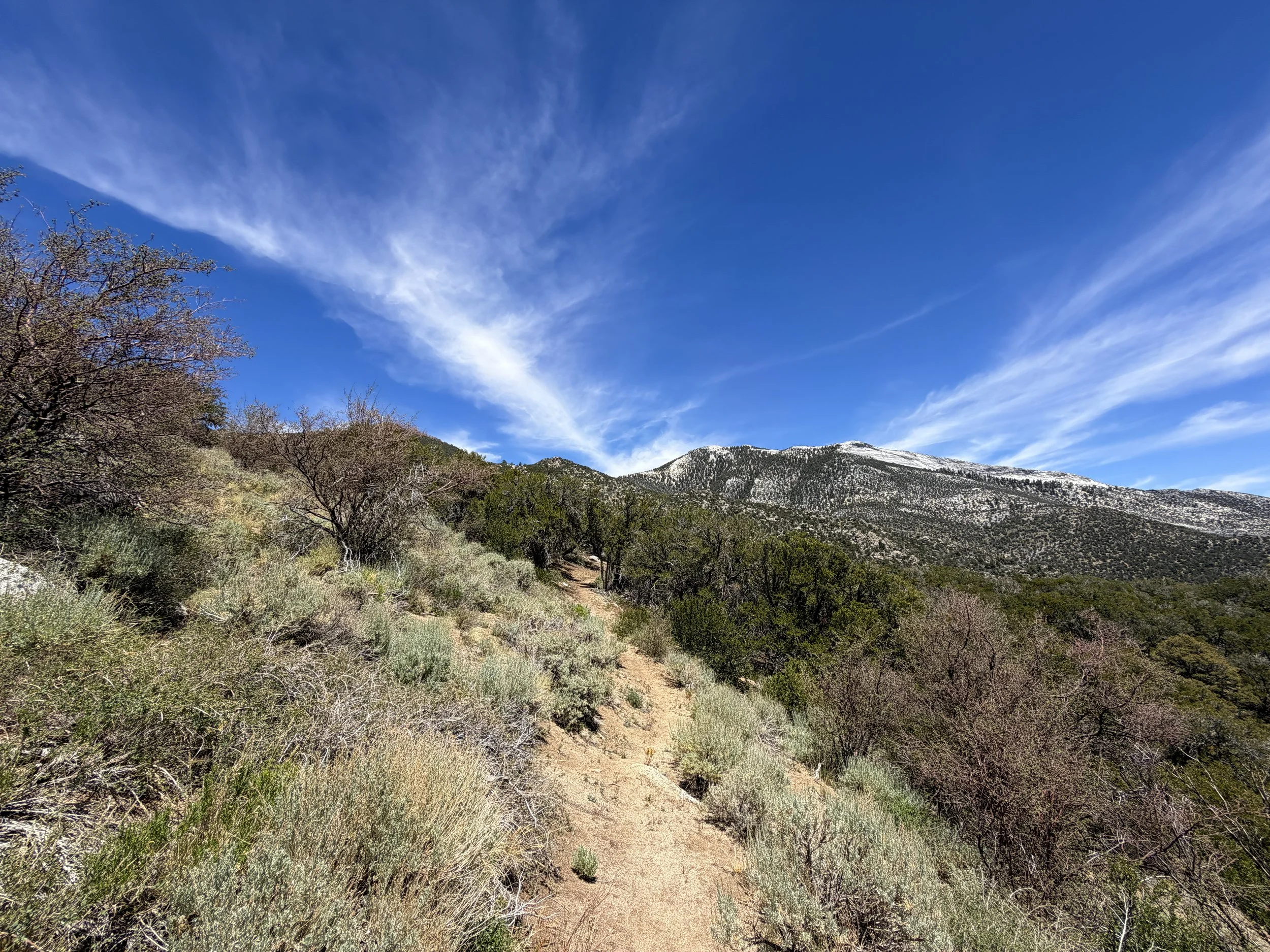 Serviceberry Hike Great Basin National Park Nevada