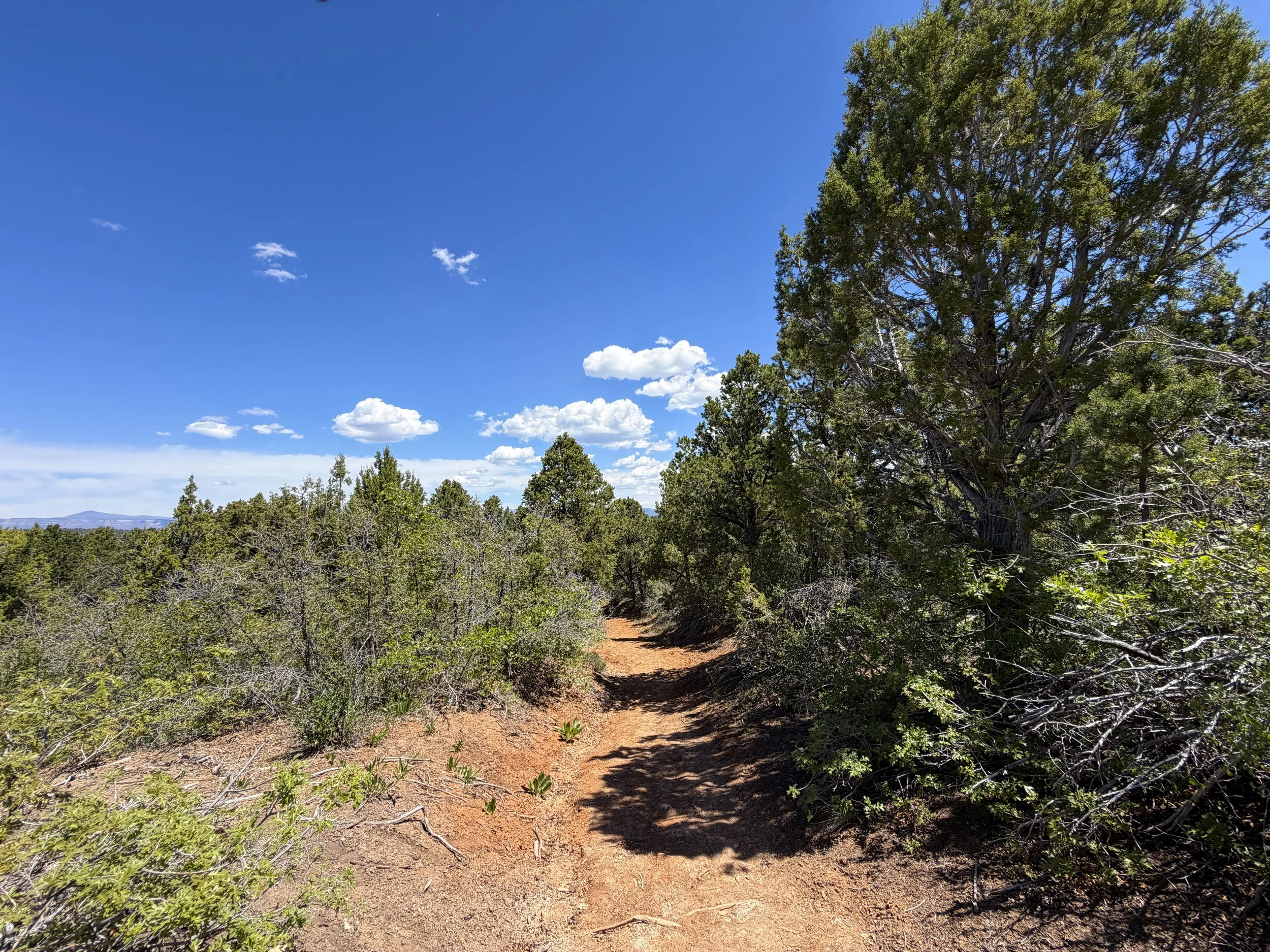 Cable Mountain Hike Zion National Park Utah