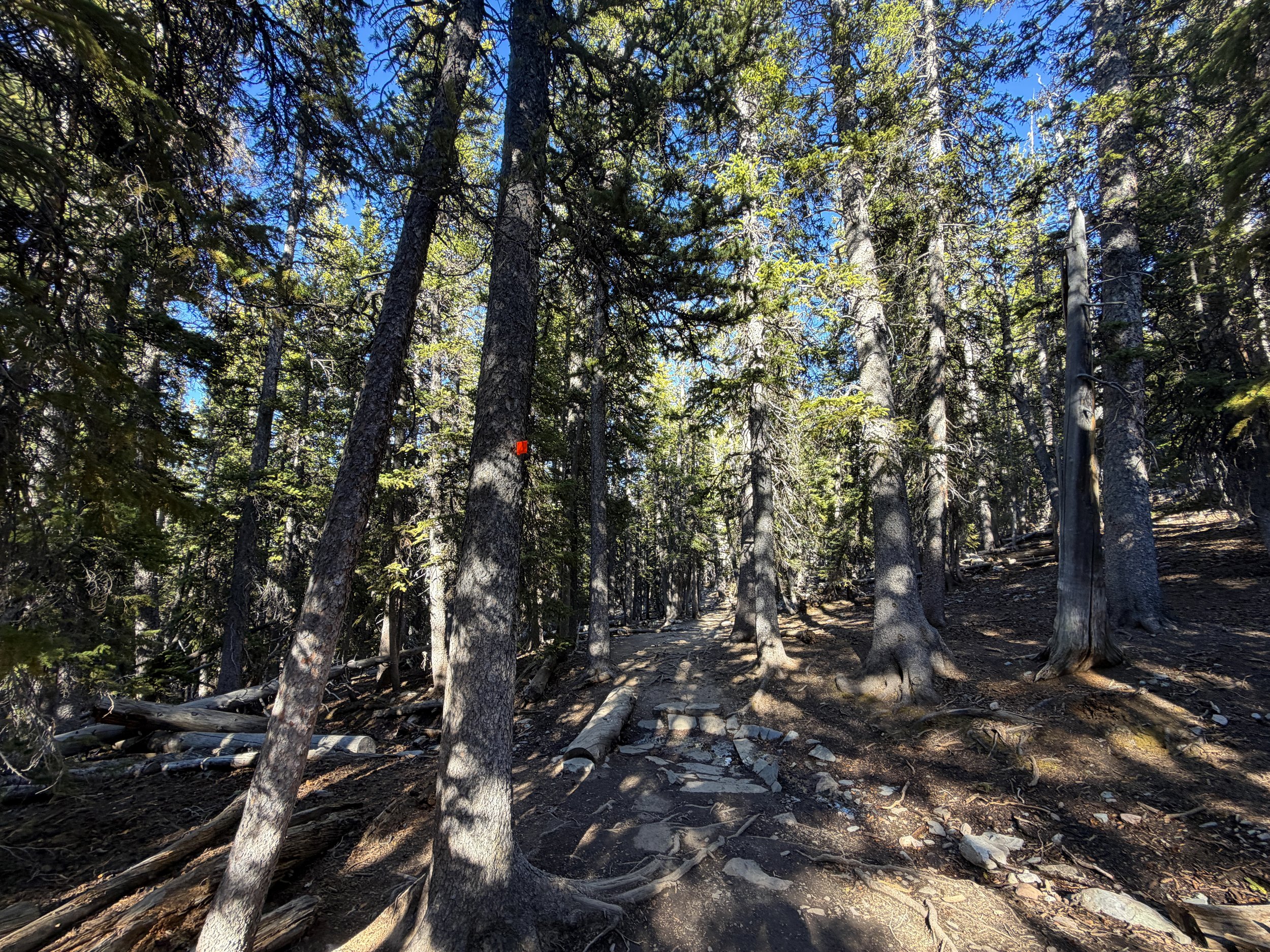 Alpine Lakes Loop Trail Great Basin National Park Nevada