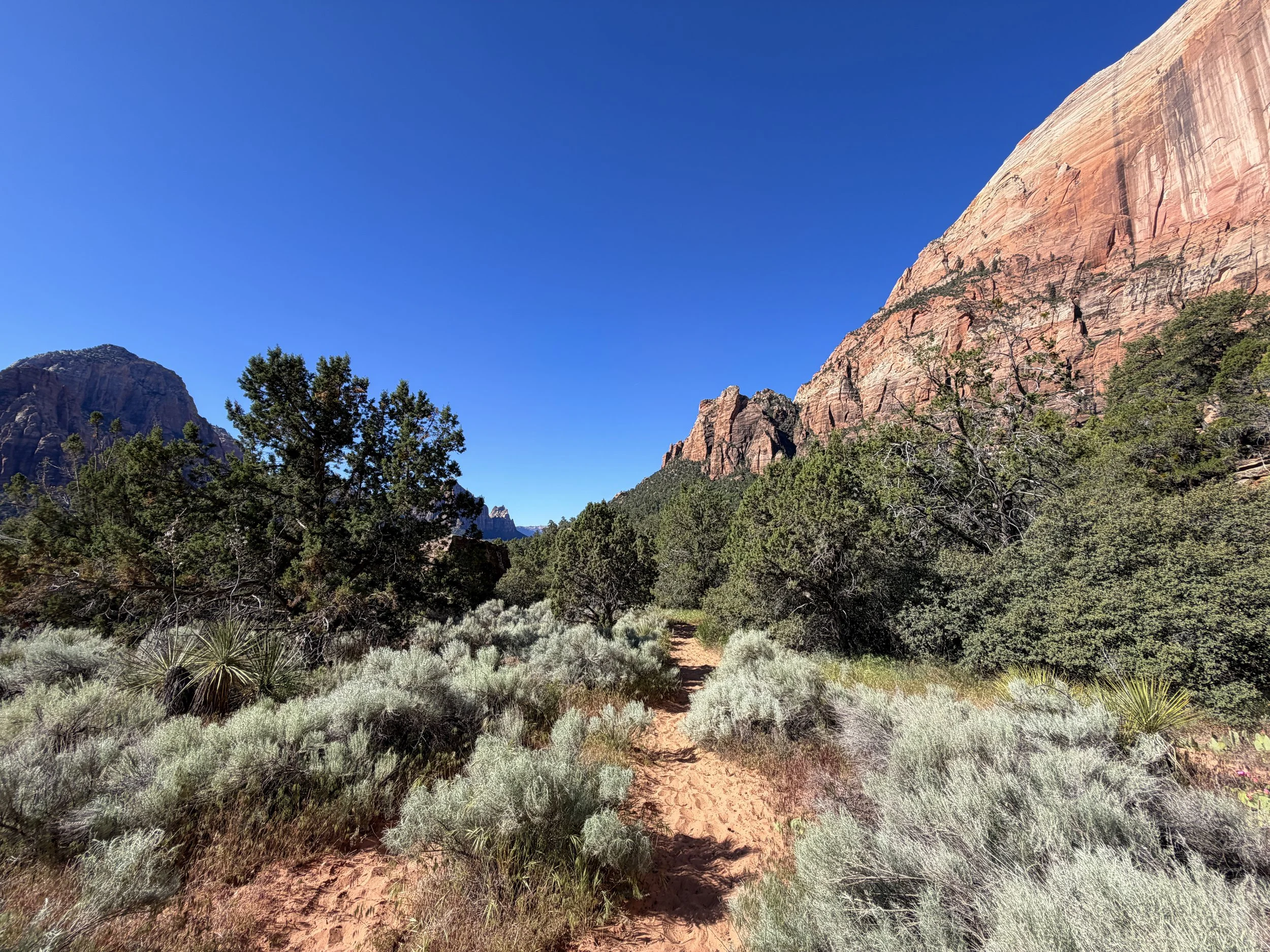 Sand Bench Loop Hike Zion National Park Utah