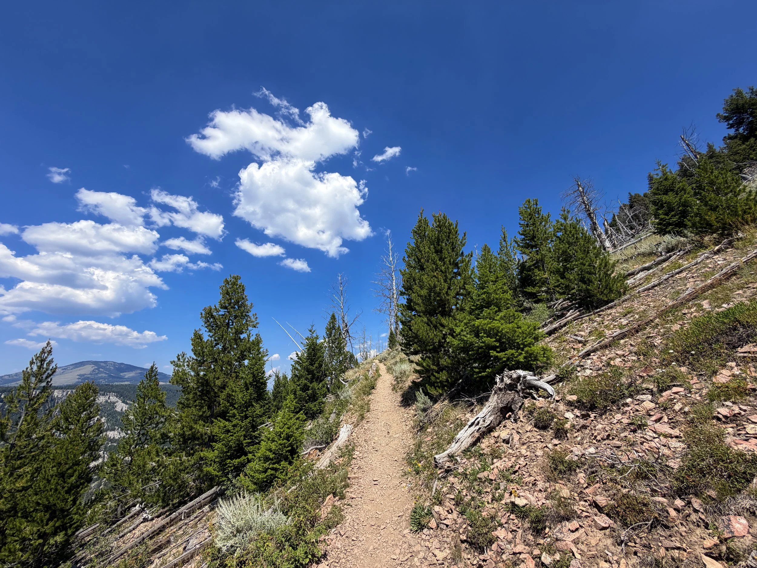 Bunsen Peak Hike Yellowstone National Park Wyoming