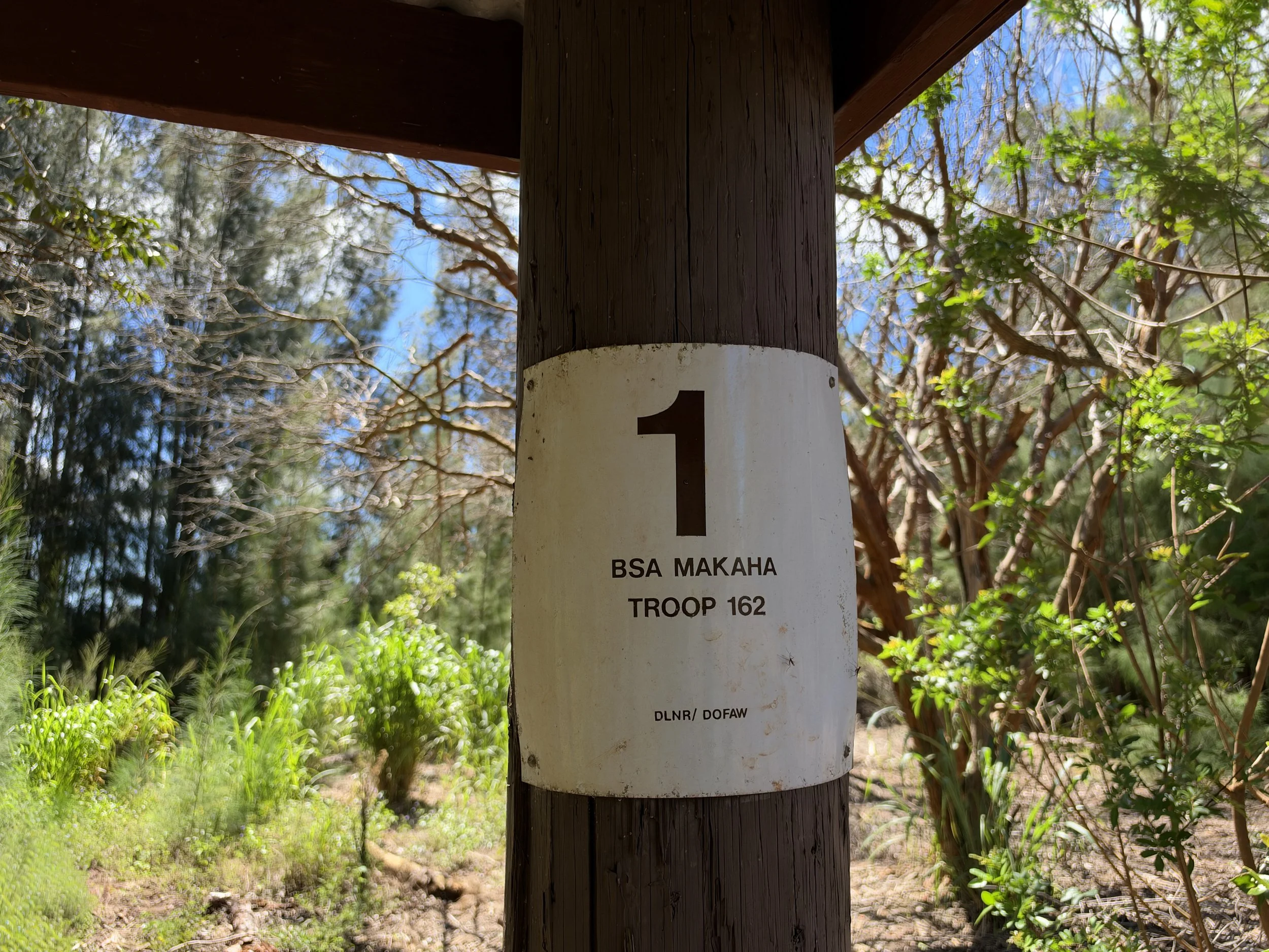 Kuaokala Trail Campsite Oahu Hawaii