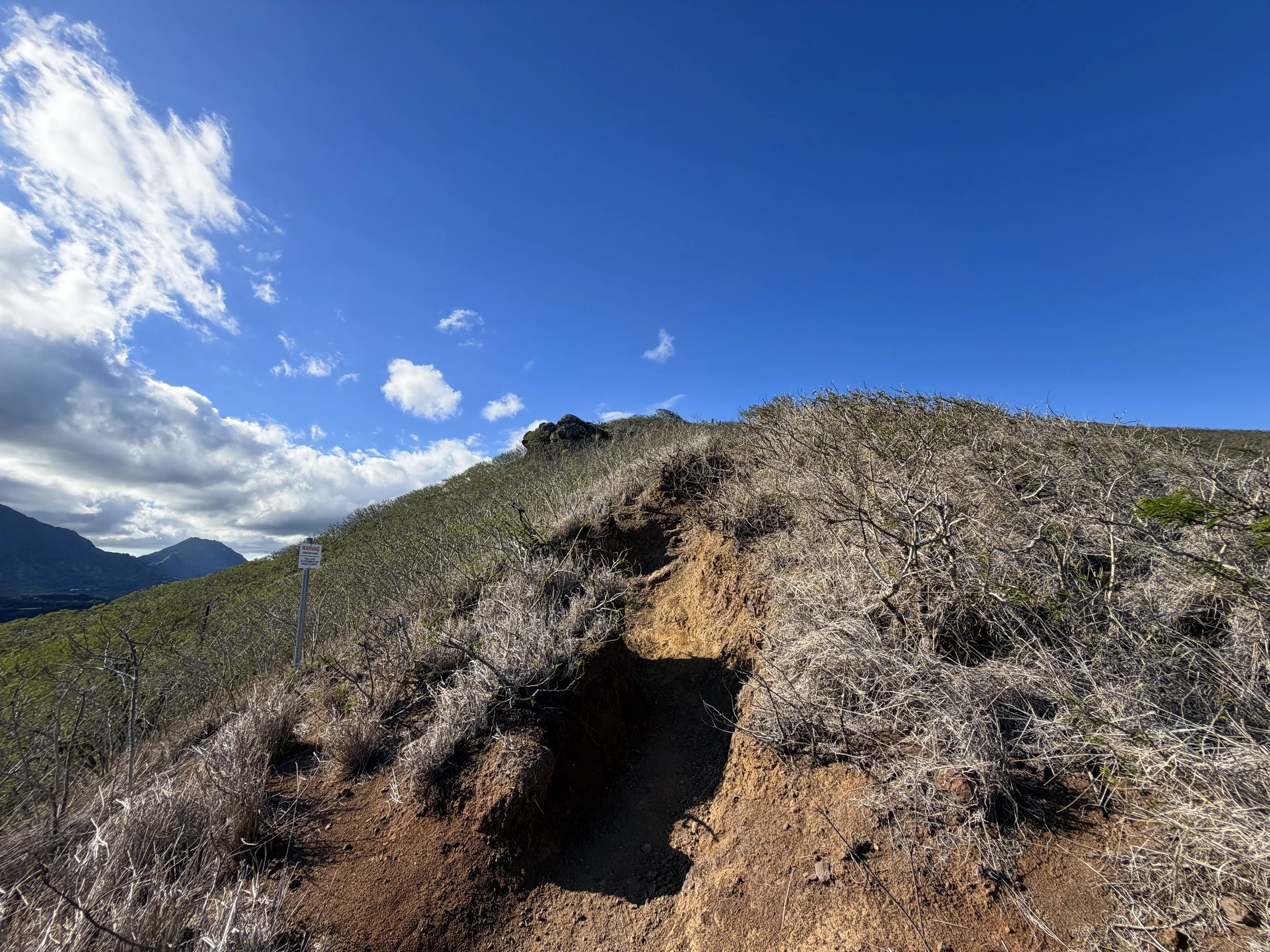 Back Way Lanikai Pillbox Trail Oahu Hawaii