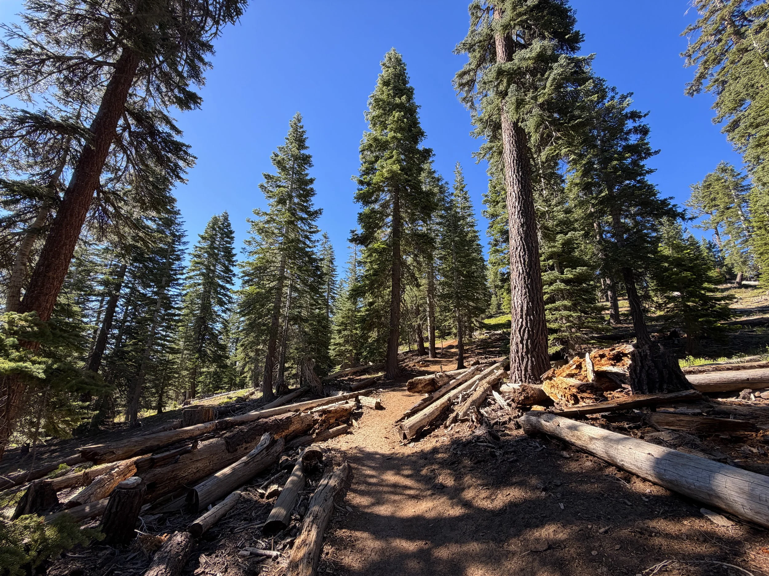 Castle Rock Hike Lake Tahoe Nevada