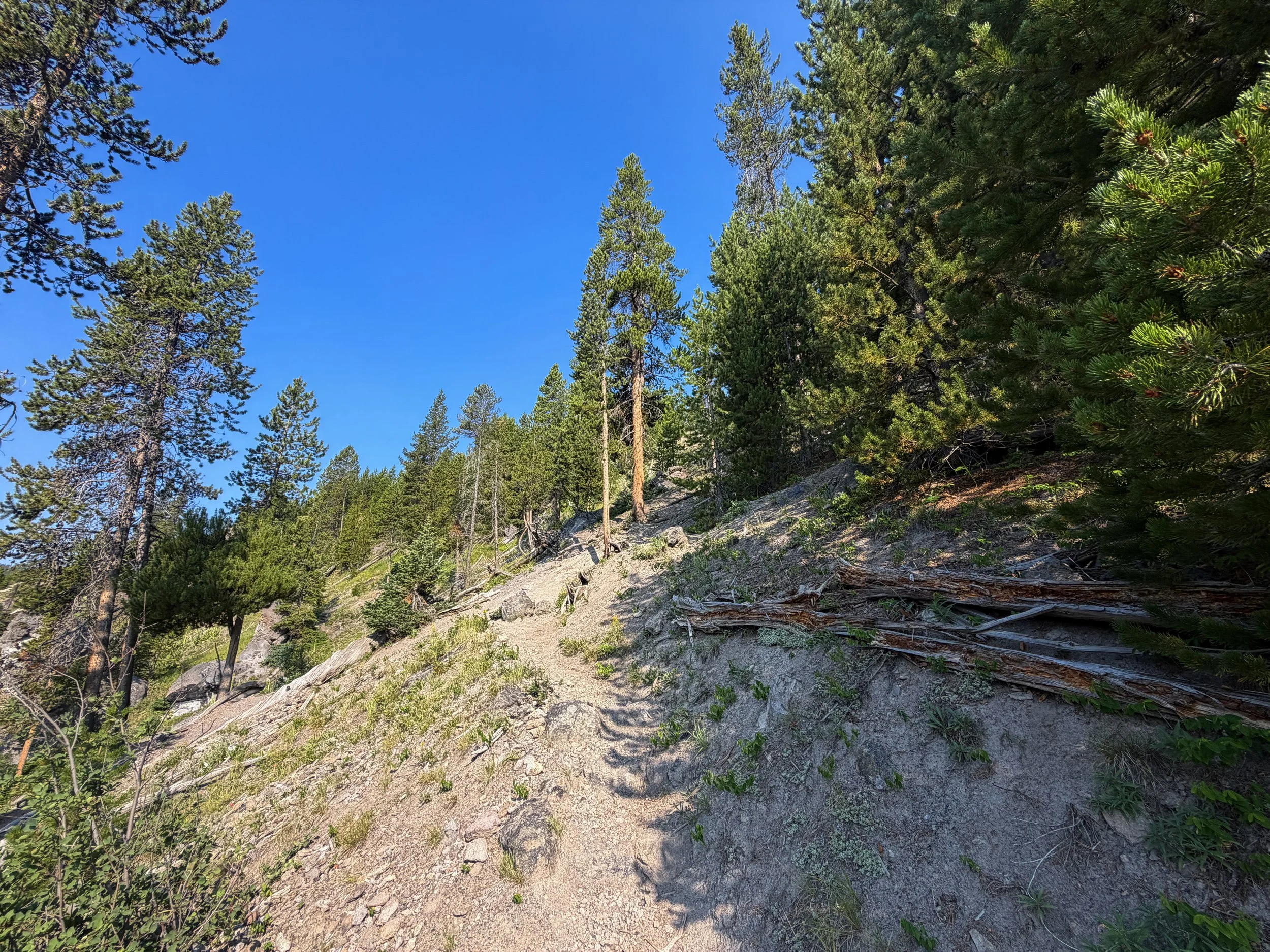 Mystic Falls Trail Yellowstone National Park Wyoming