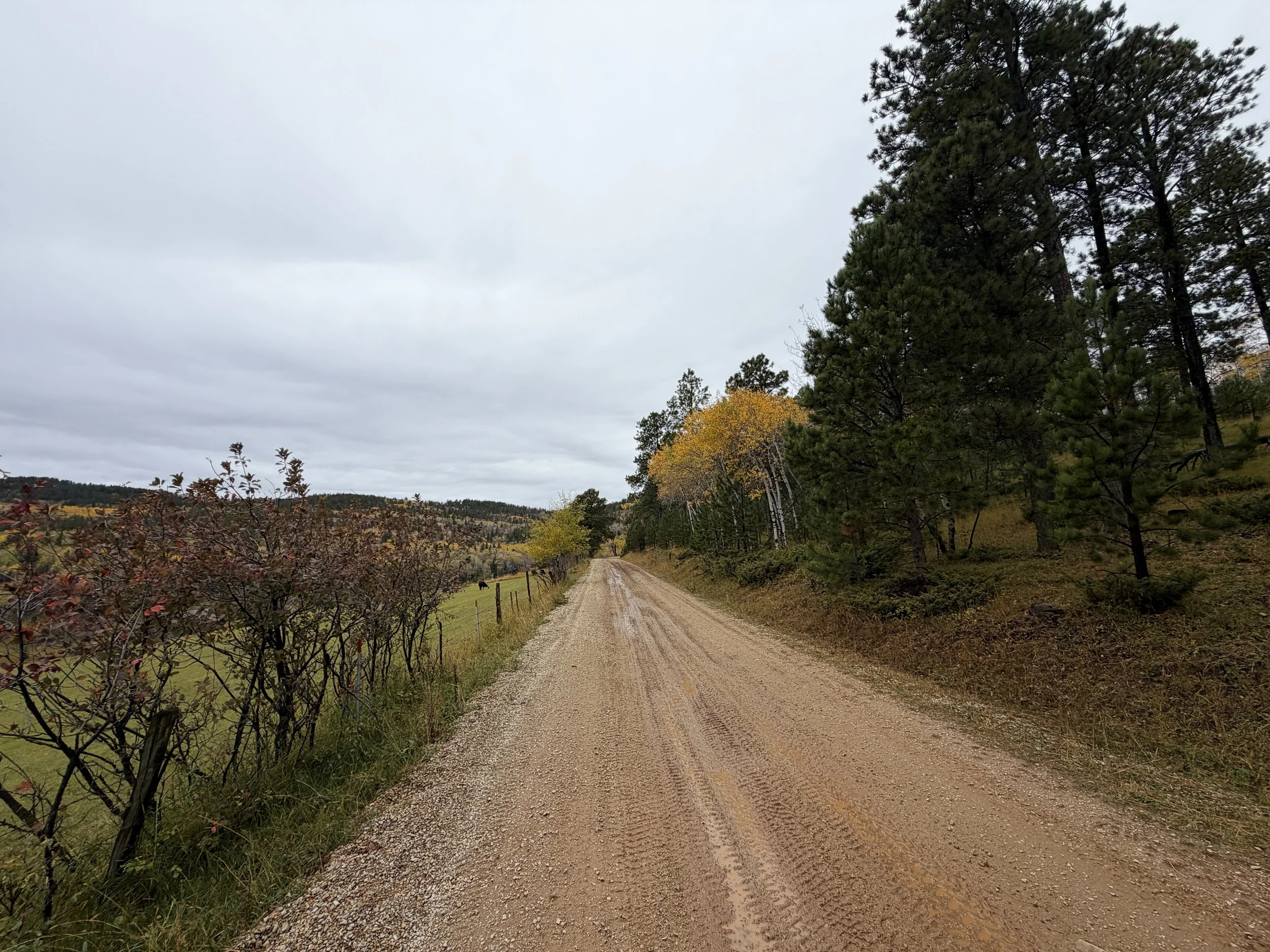 Custer Peak Trail Black Hills South Dakota