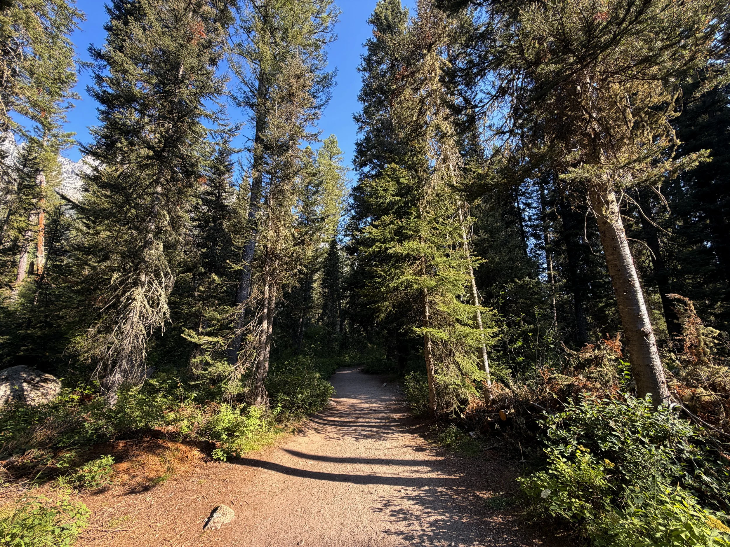 Jenny Lake Loop Trail to Hidden Falls Grand Teton National Park Wyoming