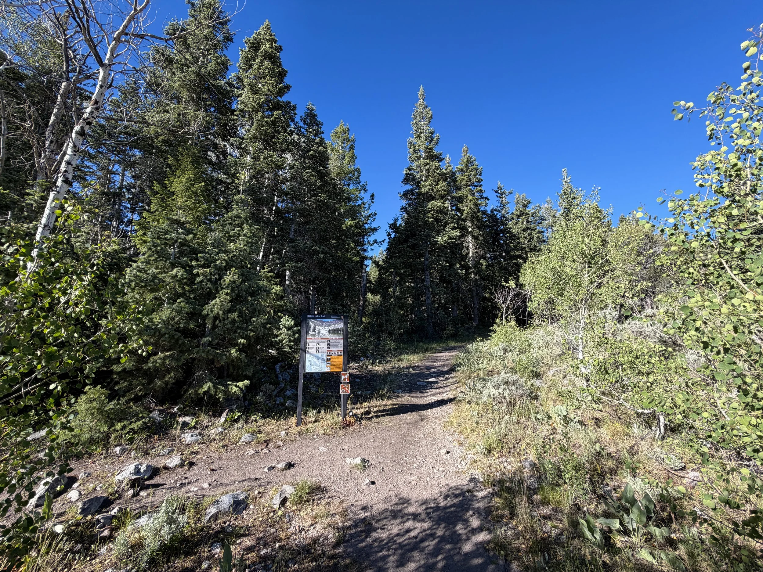 Baker Lake Trailhead Great Basin National Park Nevada