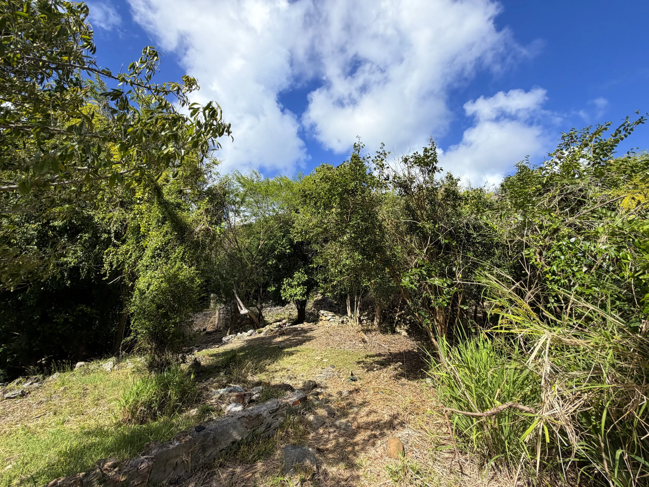 Great Sieben Trail Ruins Virgin Islands National Park