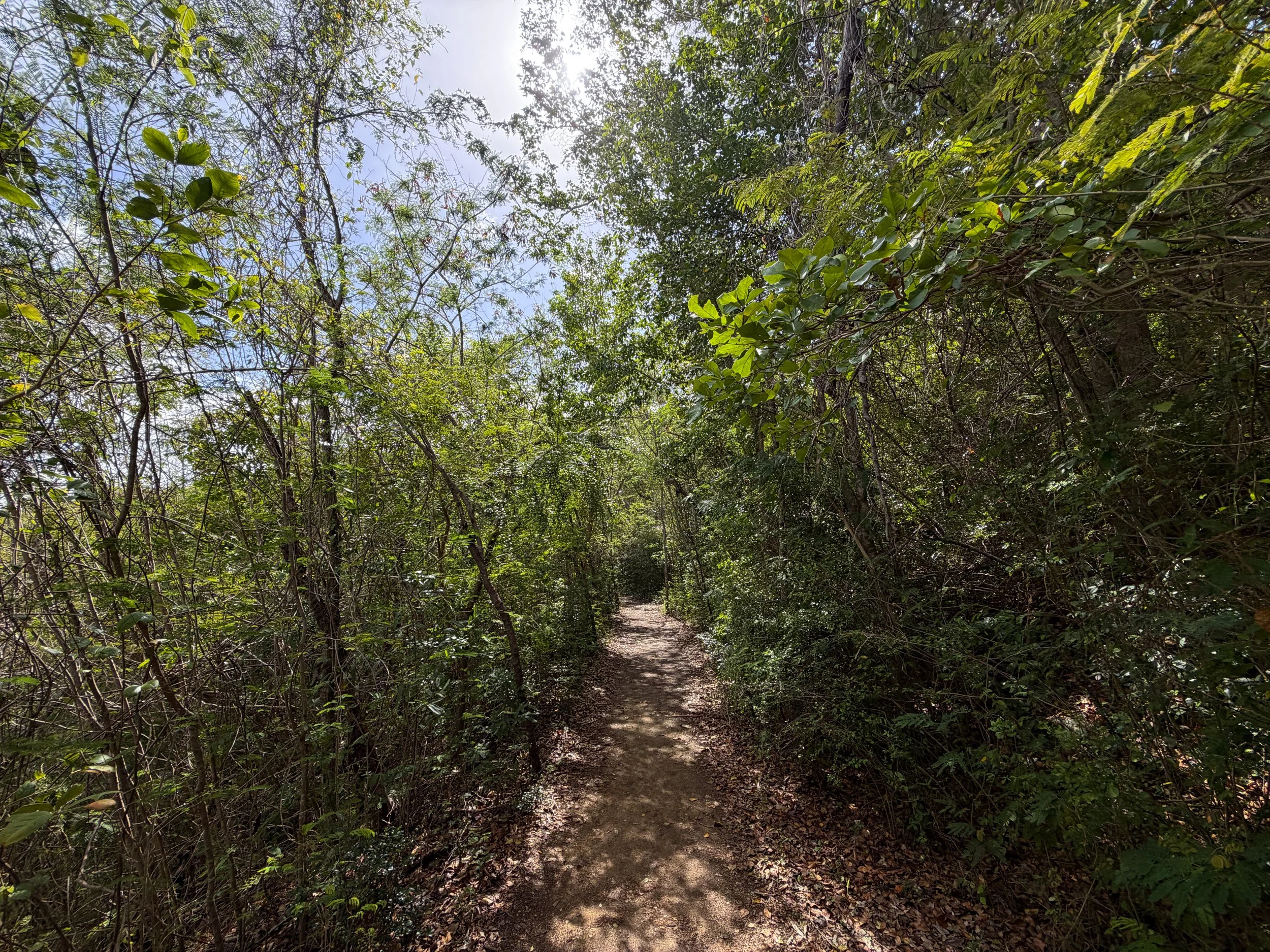 Lower Lind Point Trail Virgin Islands National Park