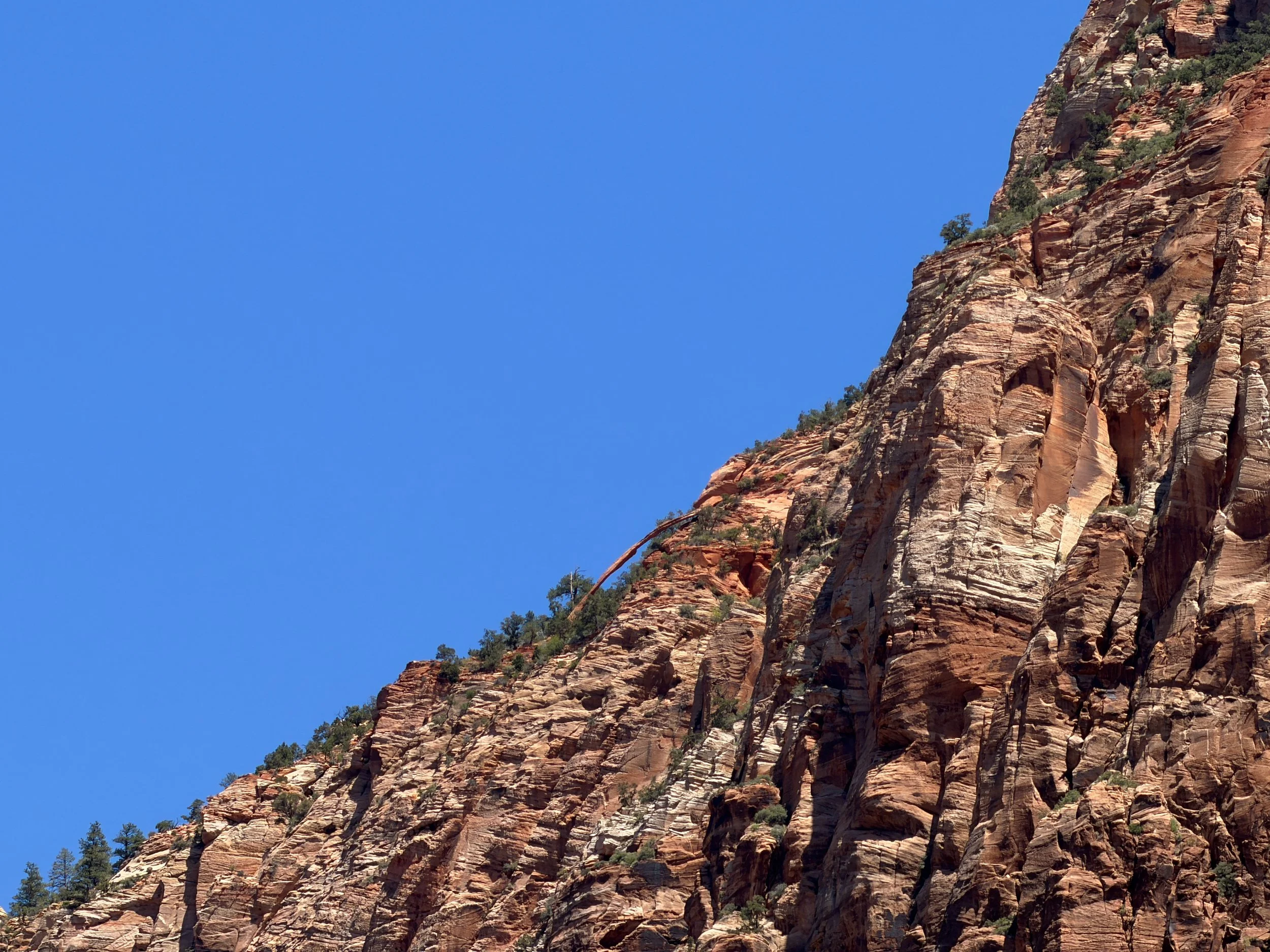 Crawford Arch Watchman Trail Zion National Park Utah