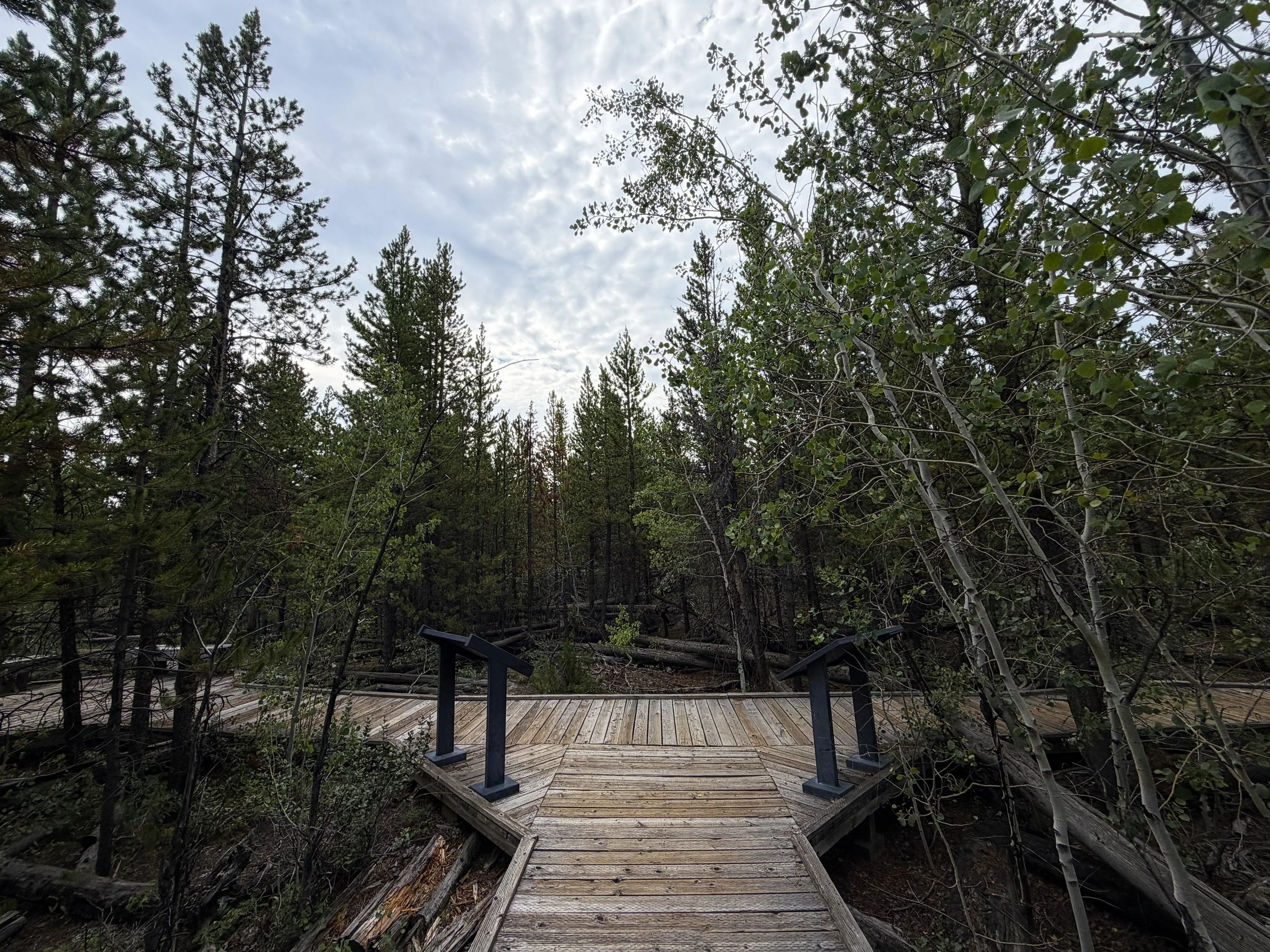 Forces of the Northern Range Boardwalk Trail Yellowstone National Park Wyoming