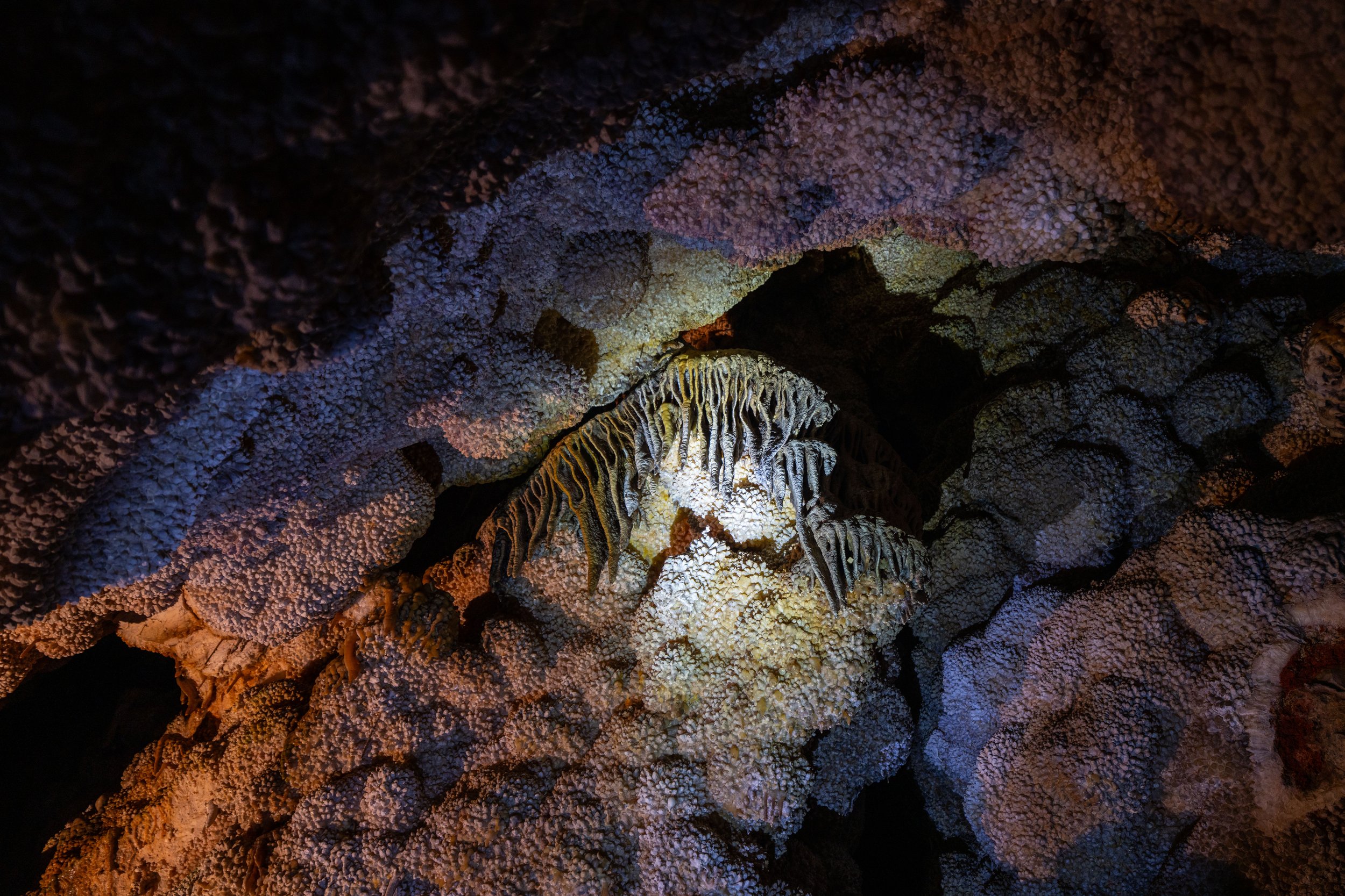 Scenic Tour Jewel Cave National Monument Black Hills South Dakota