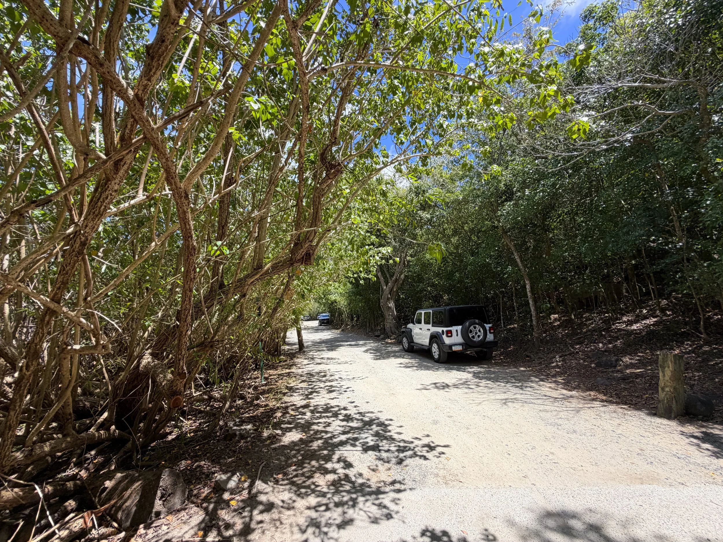 Francis Bay Trail Virgin Islands National Park