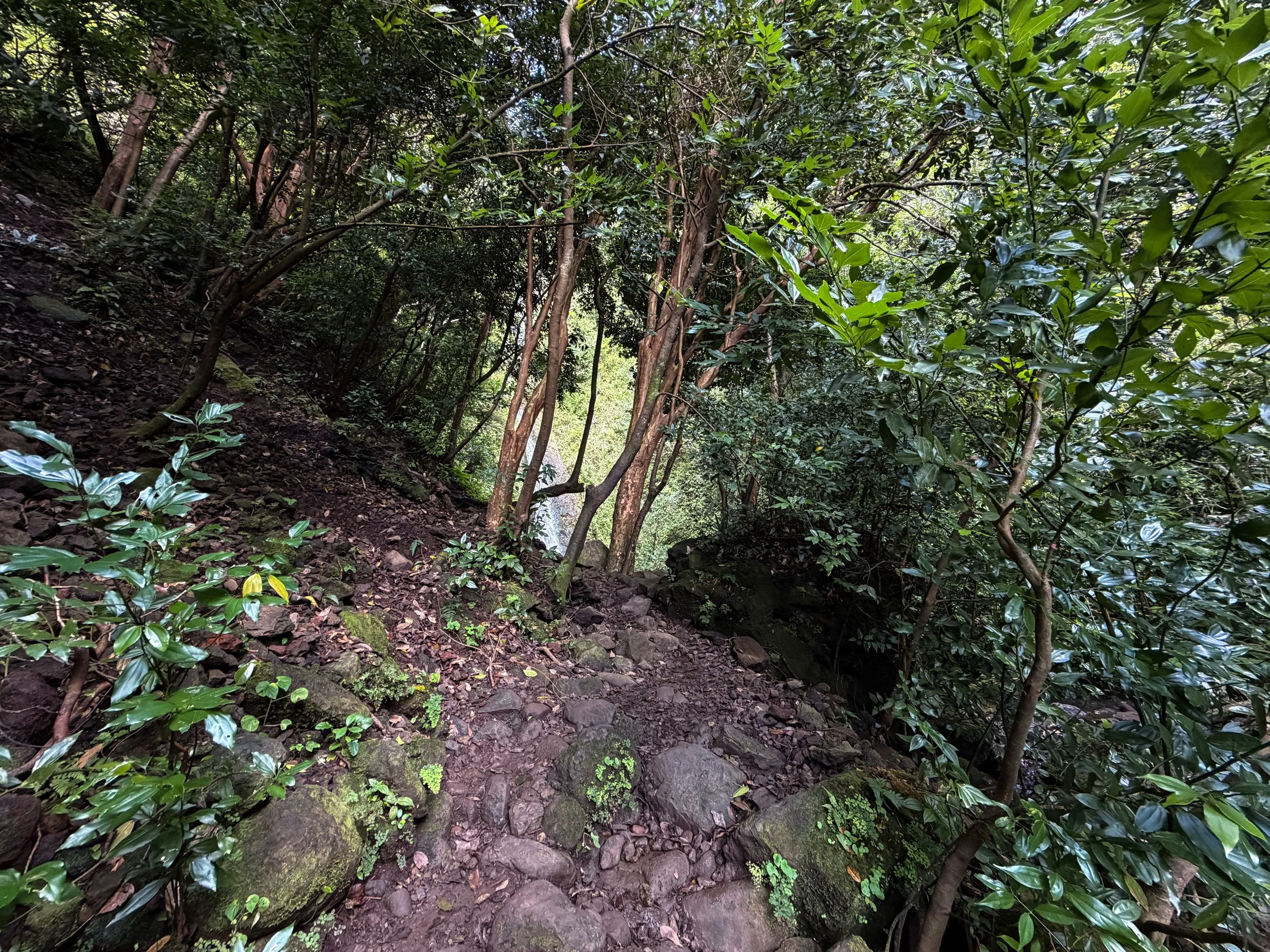 Lulumahu Falls Trail Oahu Hawaii