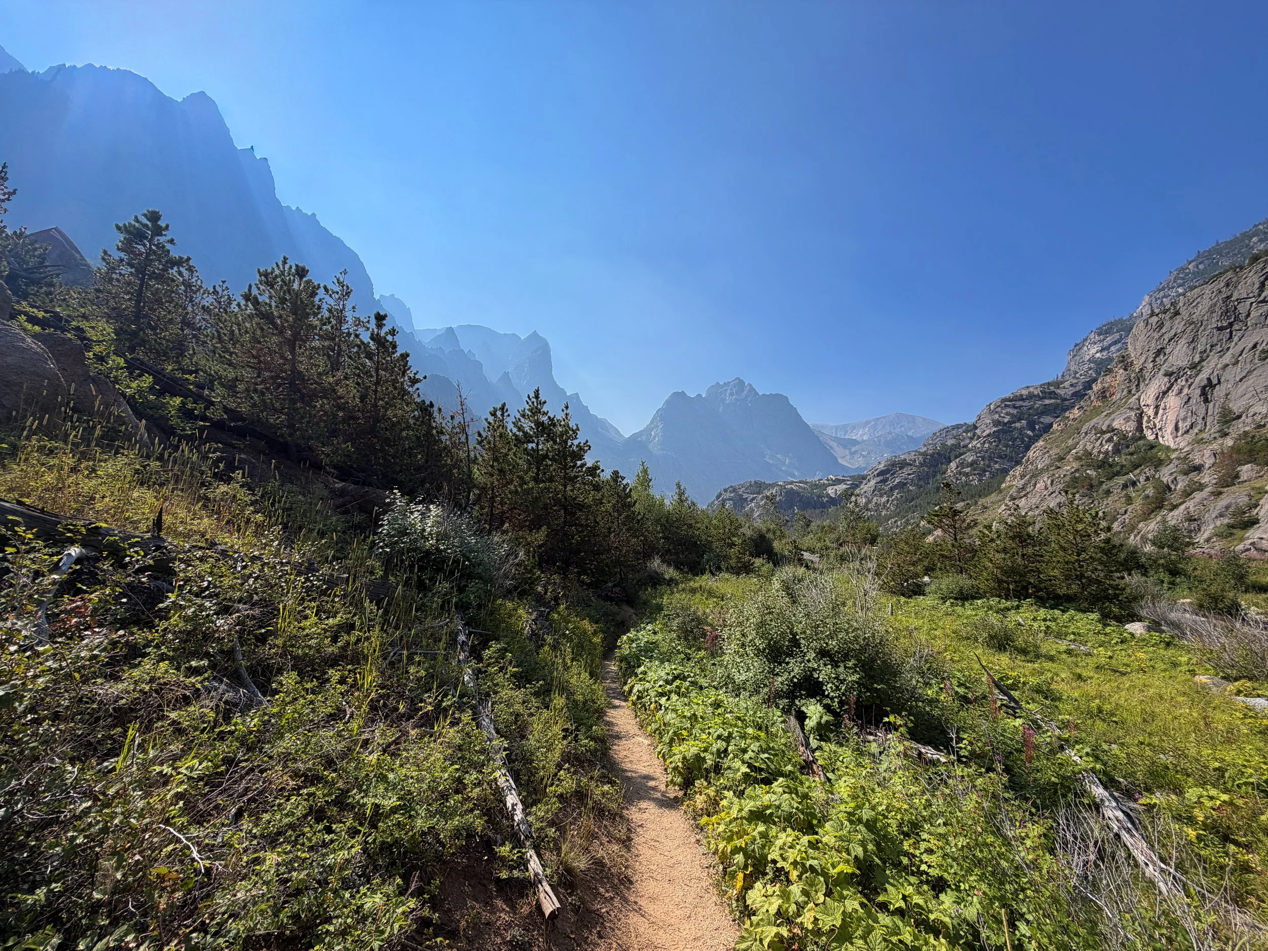 Beaten Path Trail Beartooth Mountains Montana