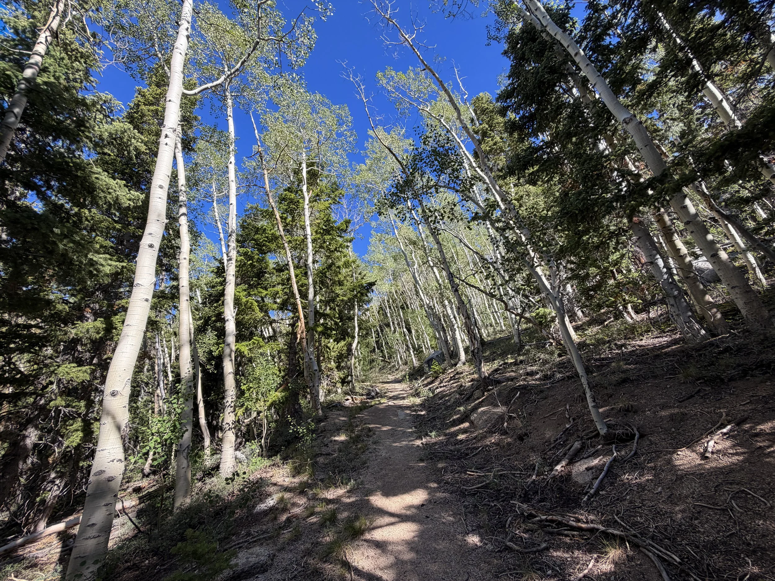 Johnson Lake Hike Great Basin National Park Nevada