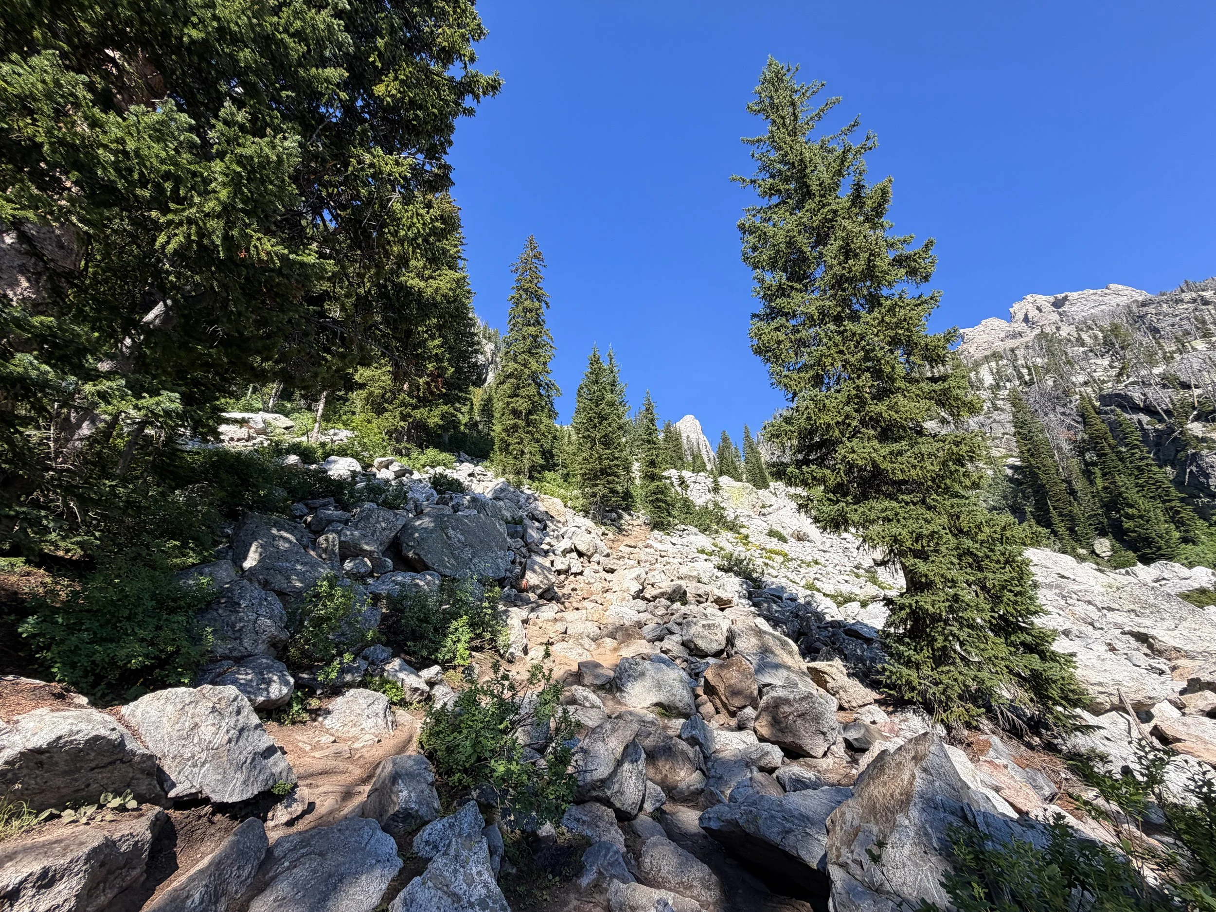Delta Lake Trail Grand Teton National Park Wyoming