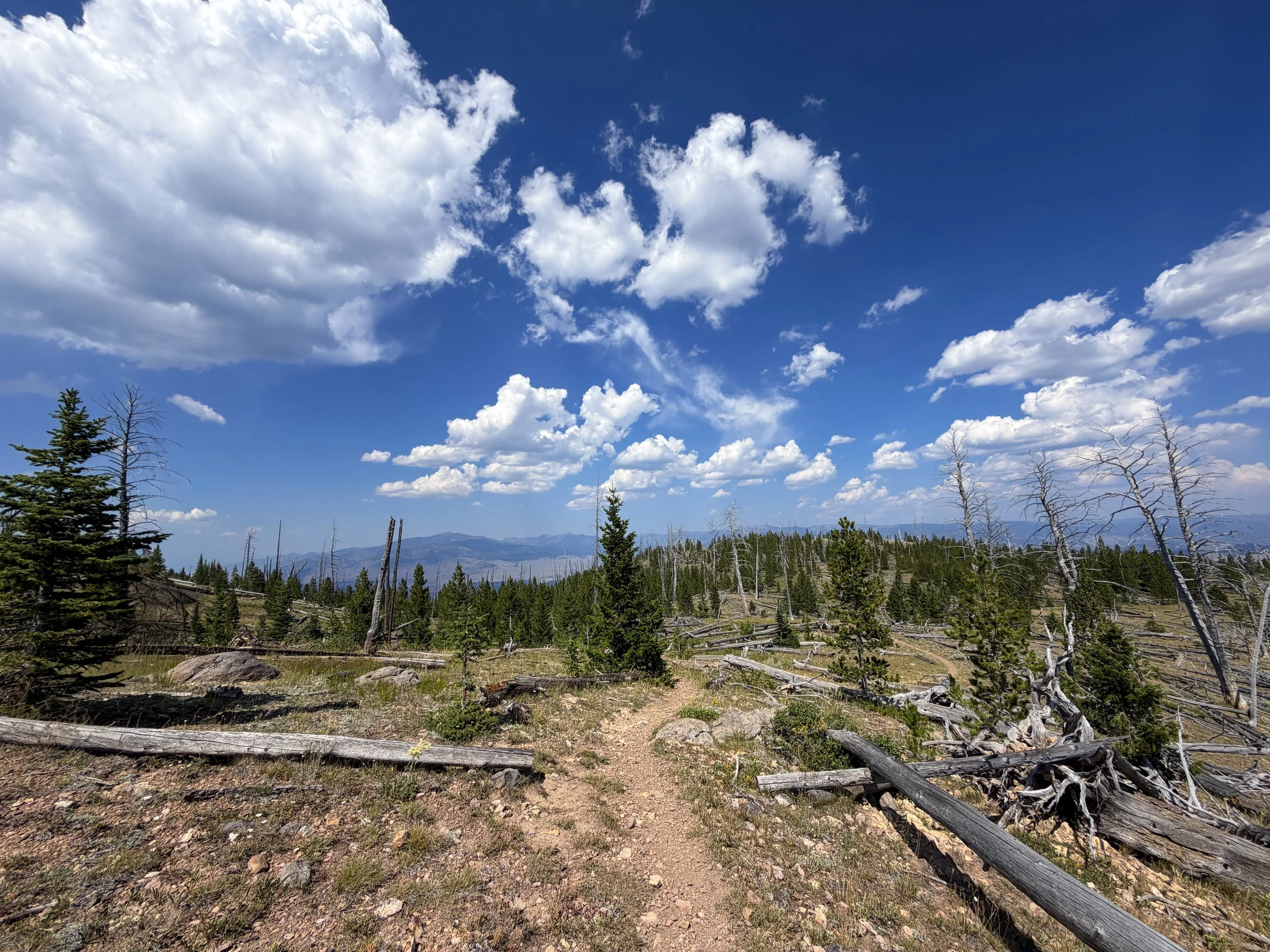 Bunsen Peak Trail to Osprey Falls Yellowstone National Park Wyoming