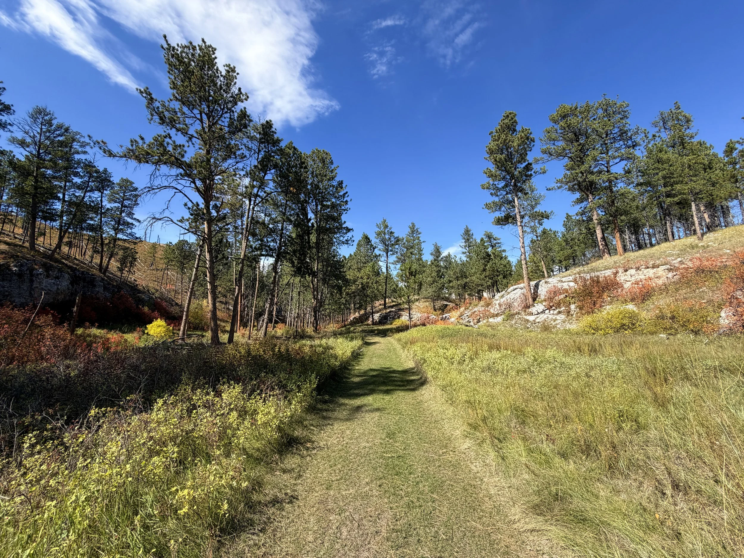 Canyons Trail Jewel Cave National Monument Black Hills South Dakota