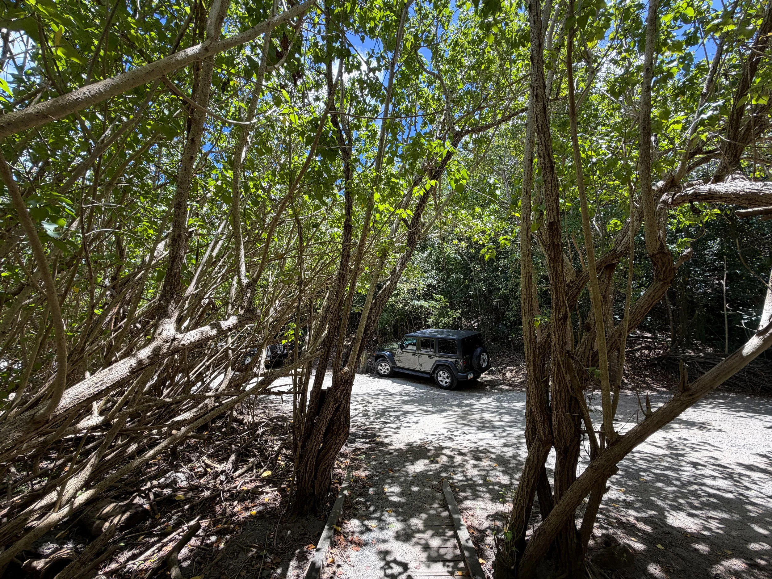 Francis Bay Trailhead Virgin Islands National Park