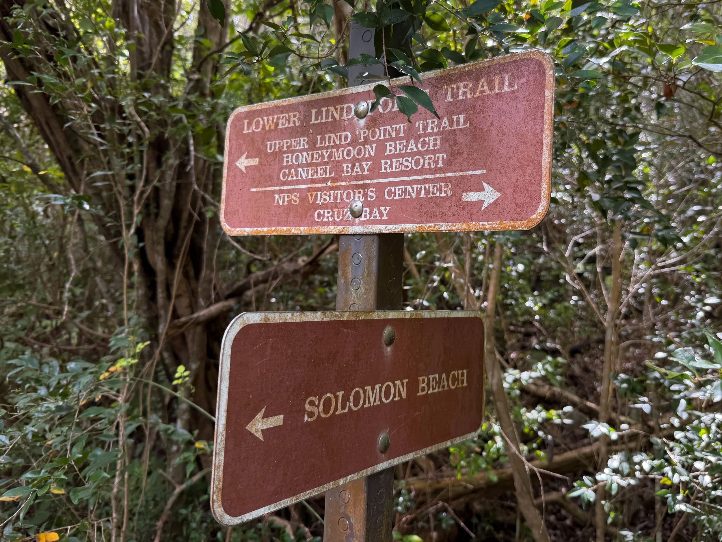 Lower Lind Point Trail Virgin Islands National Park