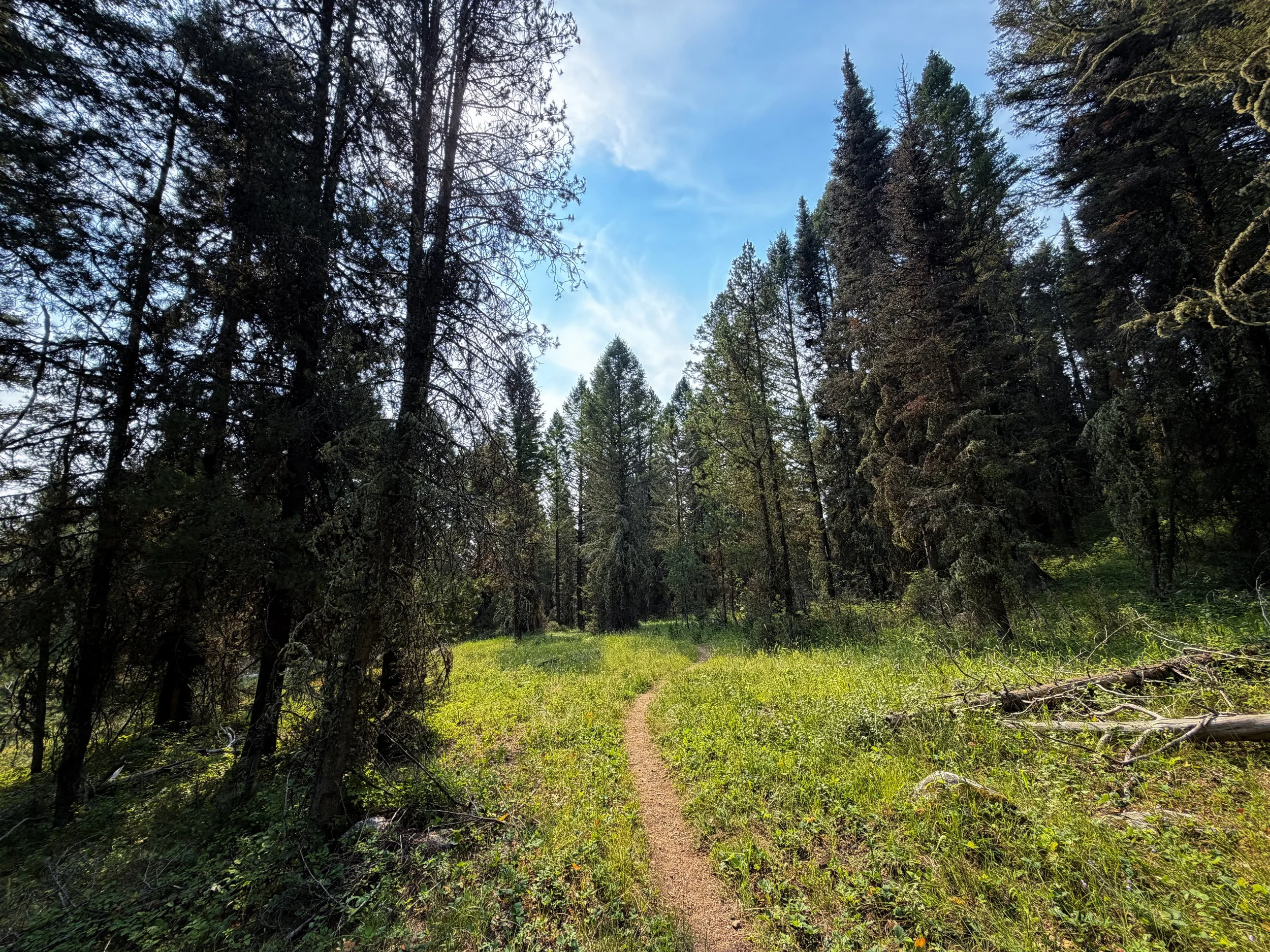 Aspen Ridge Trail Grand Teton National Park Wyoming