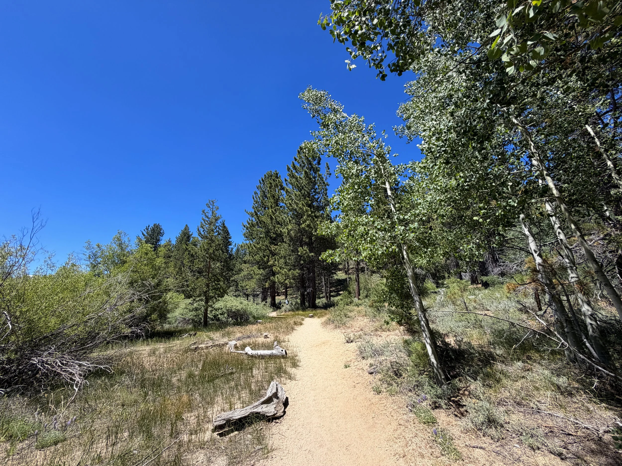 Spooner Lake Loop Hike Lake Tahoe Nevada