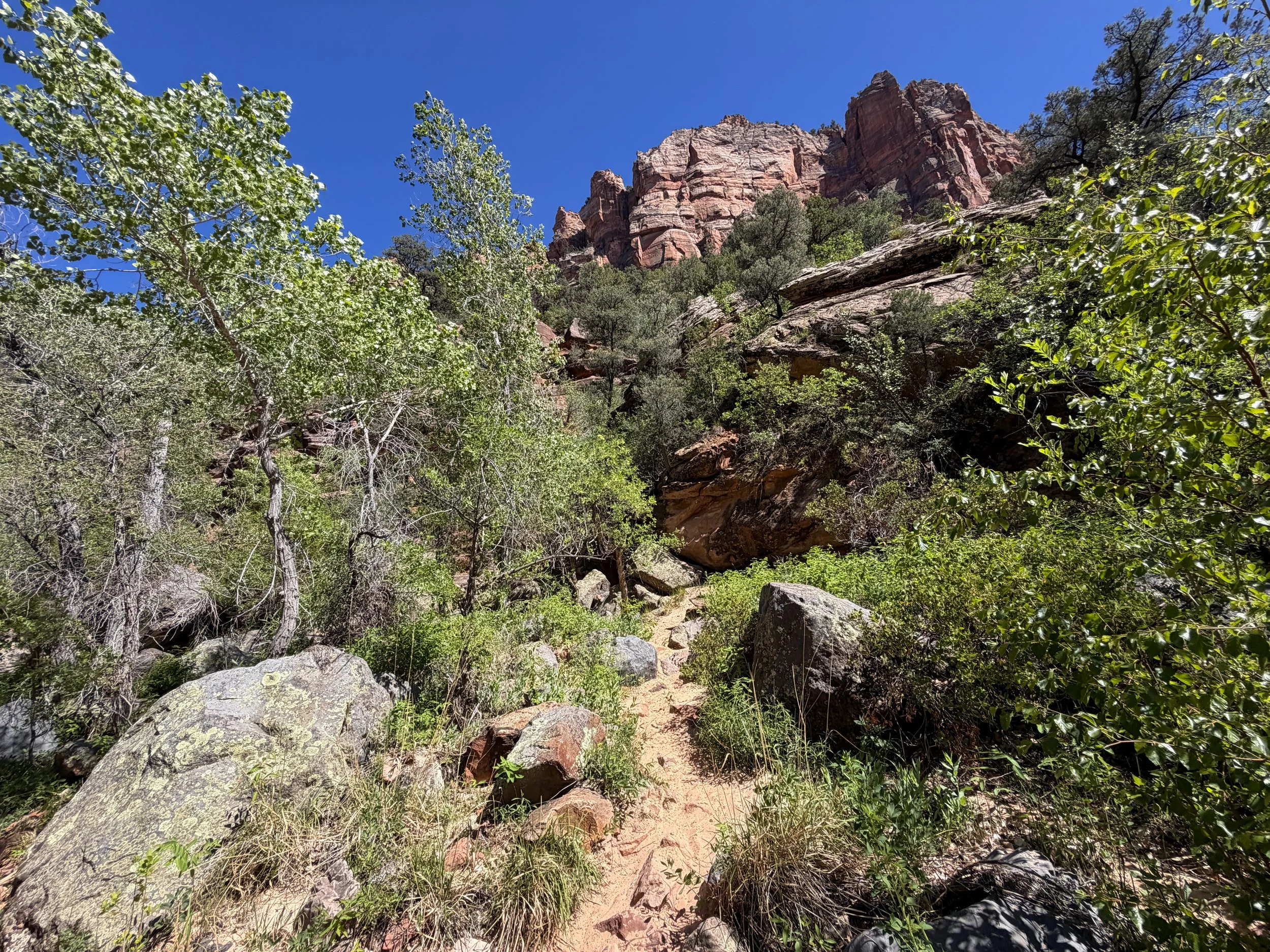 Subway Trail via Left Fork North Creek Zion National Park Utah