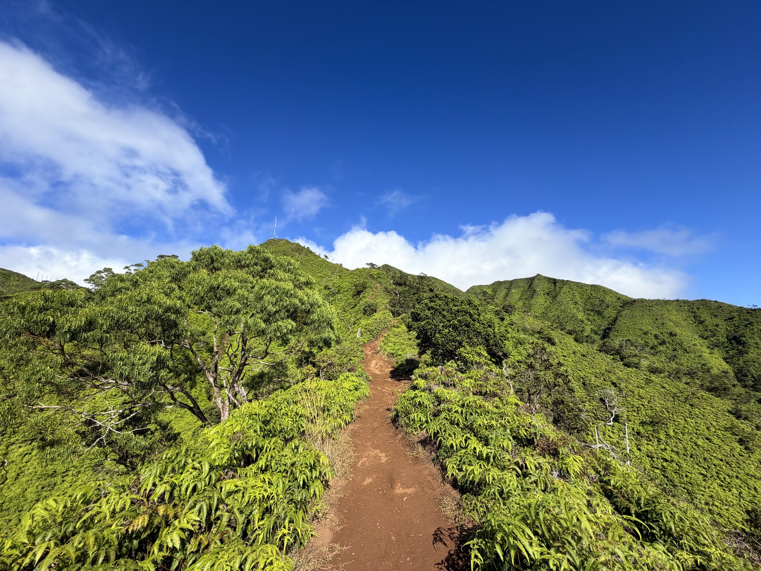Wiliwilinui Ridge Hike Oahu Hawaii