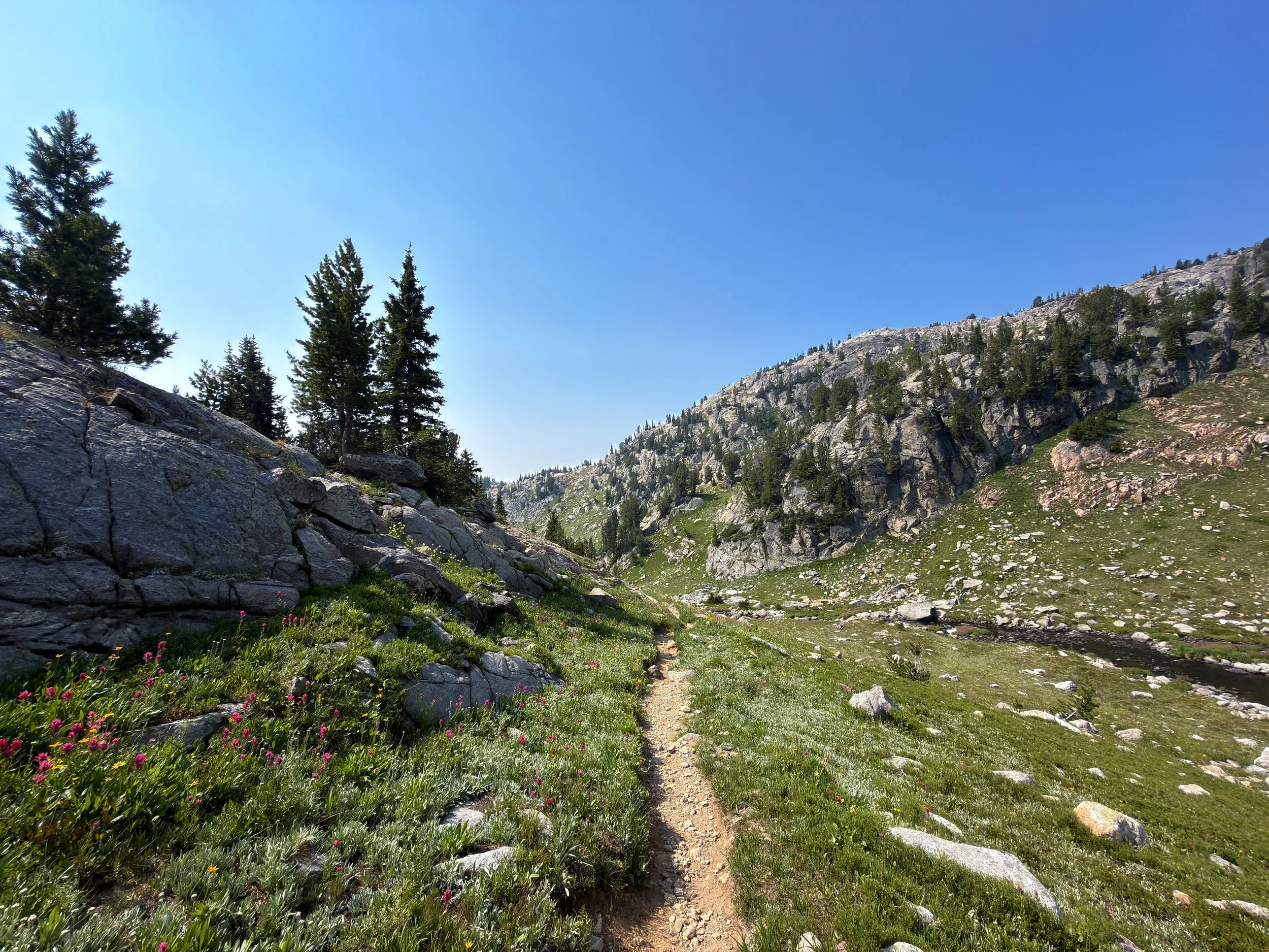 Russel Creek Trail The Beaten Path Beartooth Mountains Montana