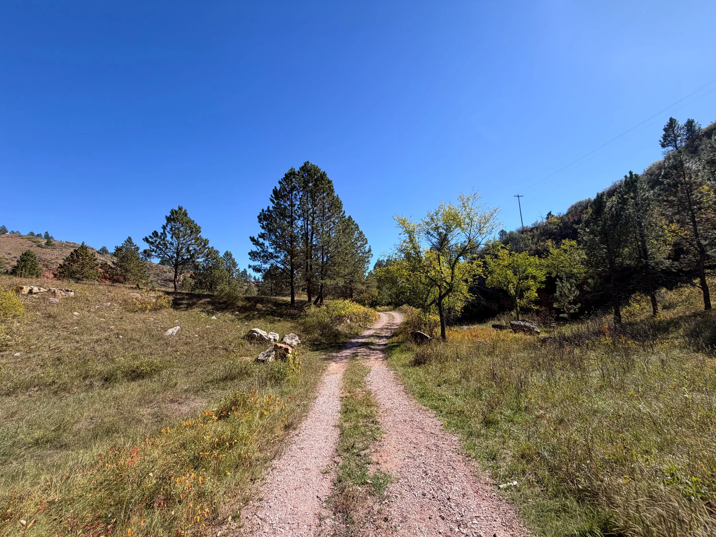 Wind Cave Canyon Hike Wind Cave National Park South Dakota