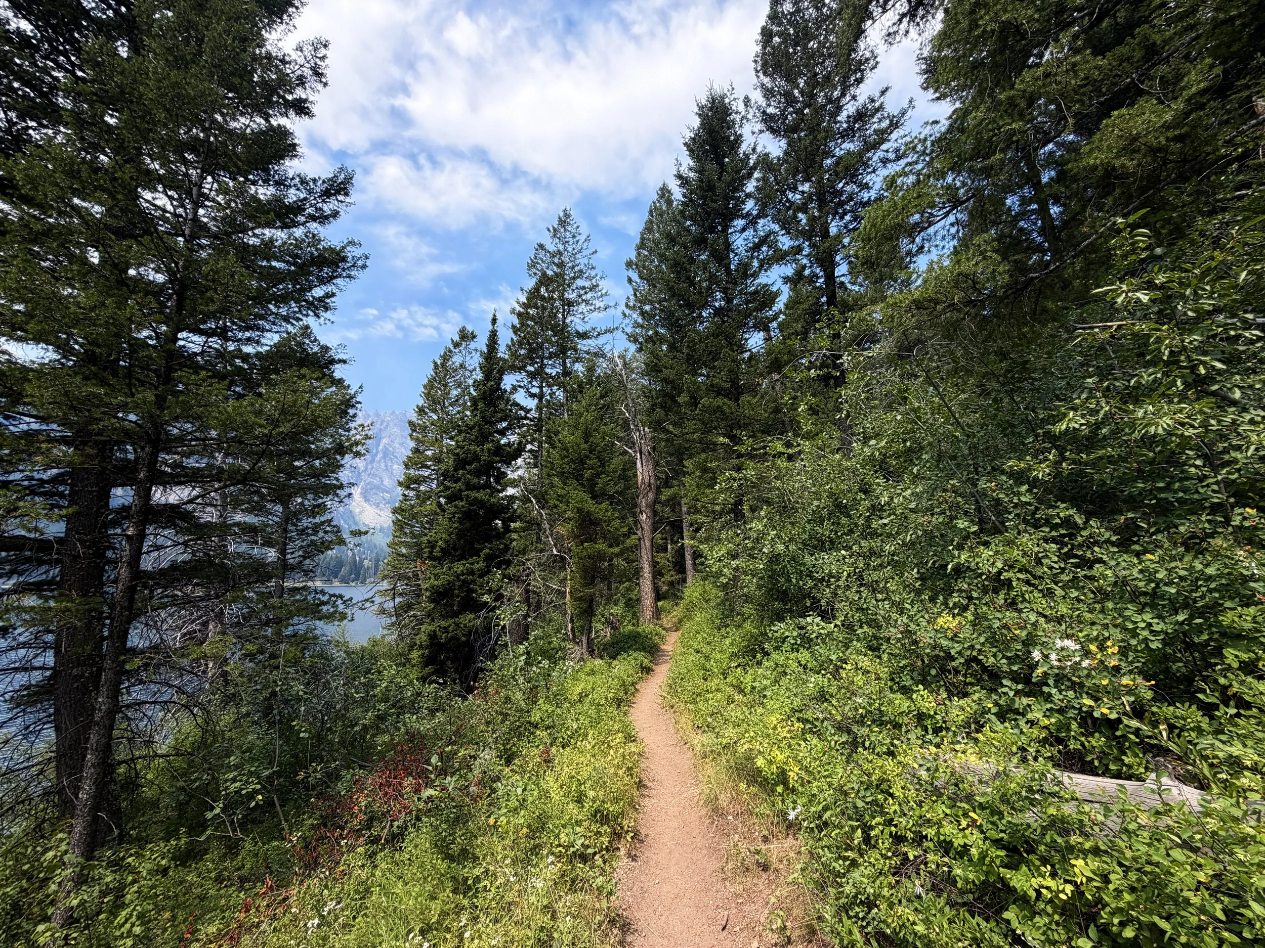 Phelps Lake Loop Trail Grand Teton National Park Wyoming