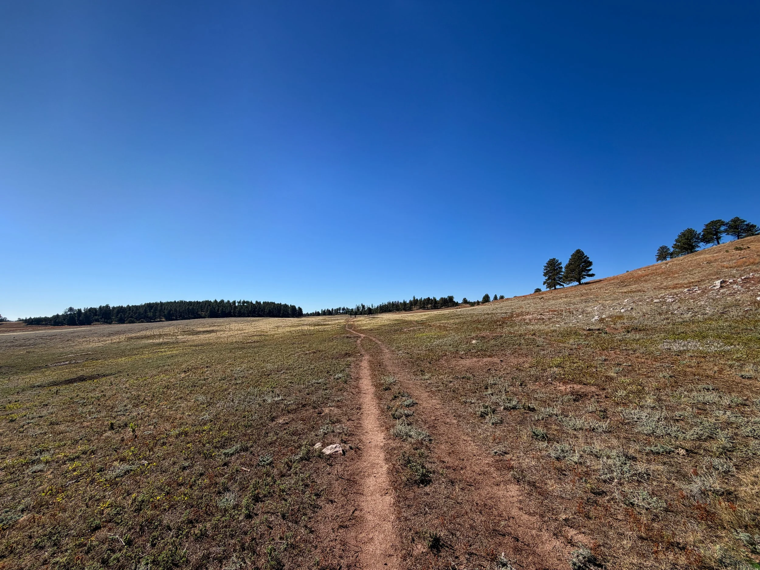 Sanctuary Trail Wind Cave National Park South Dakota