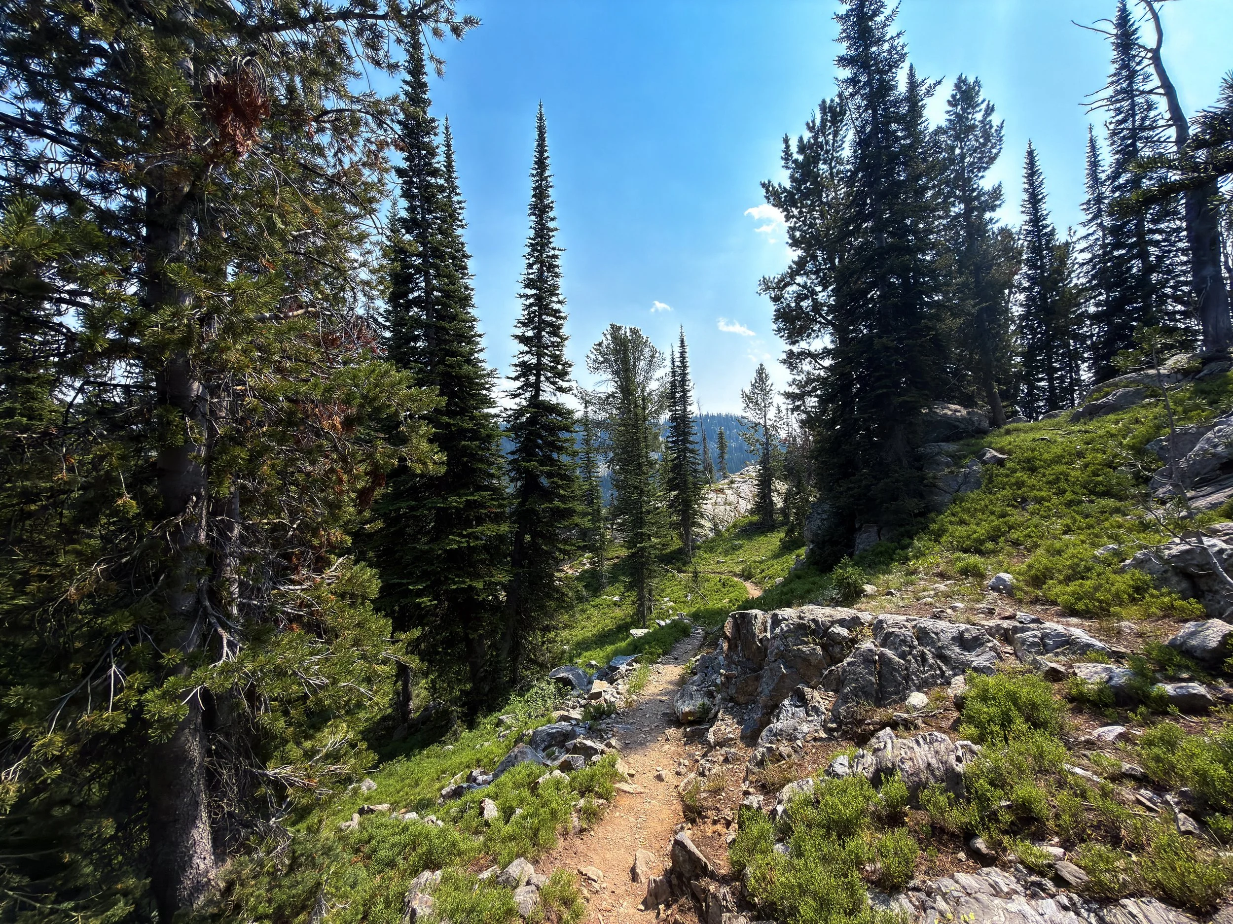 Russell Creek Trail The Beaten Path Beartooth Mountains Montana