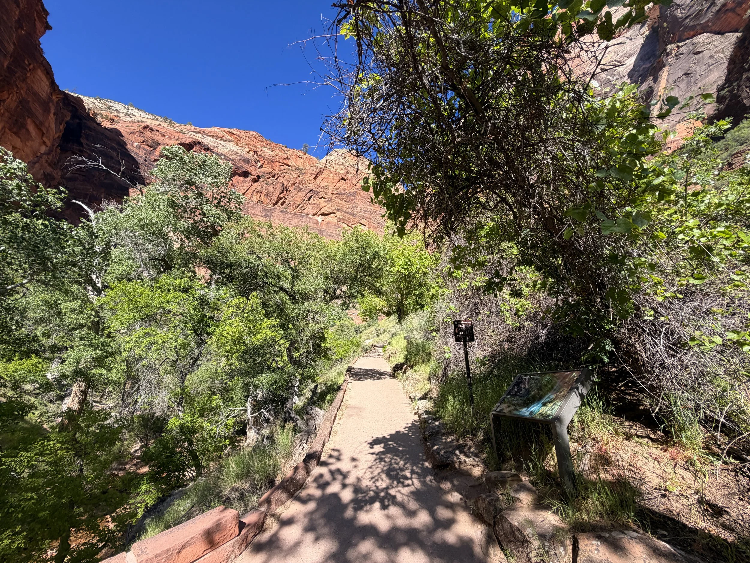 Weeping Rock Trail Zion National Park Utah