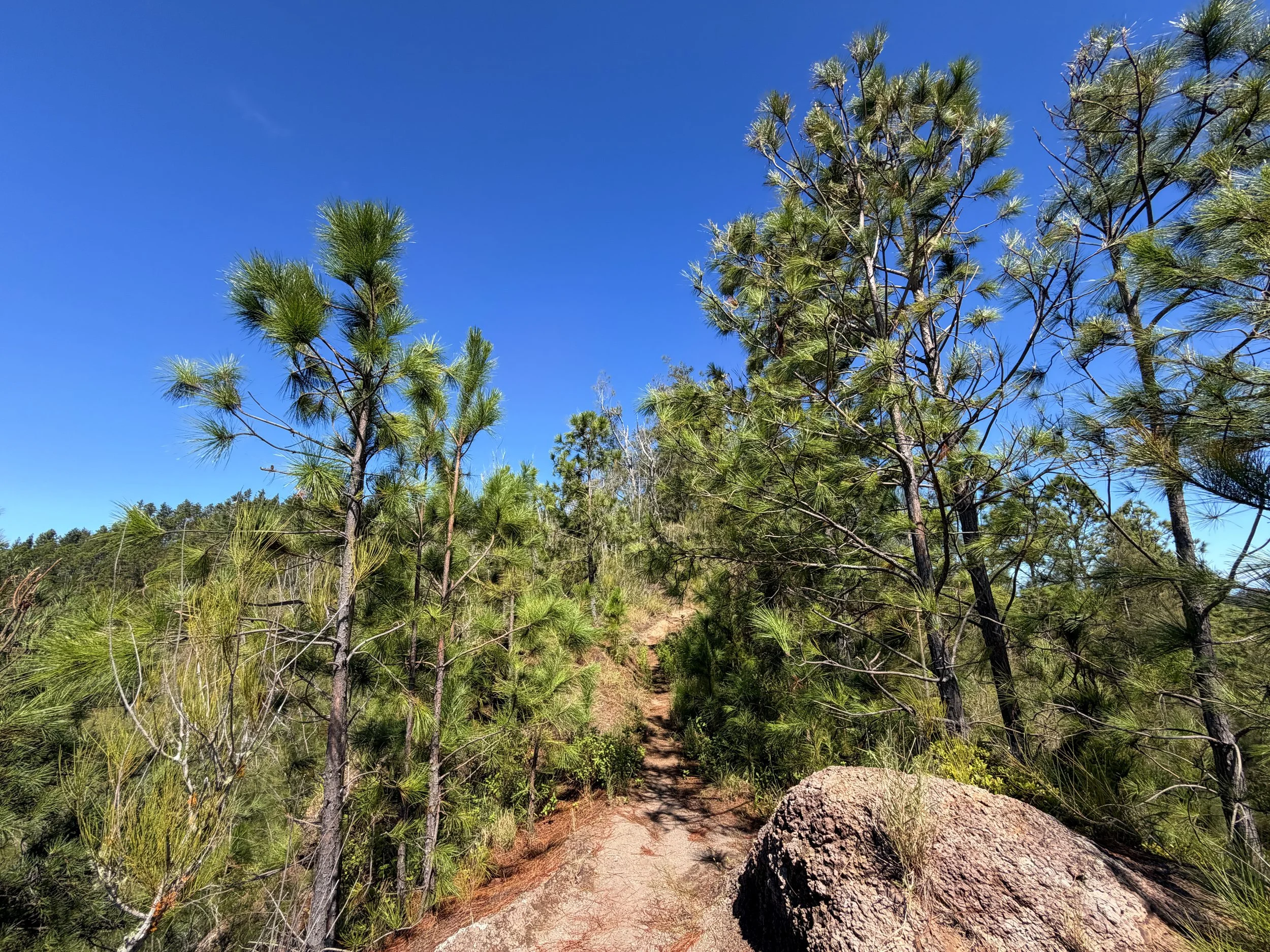 Kuaokala Hike Oahu Hawaii