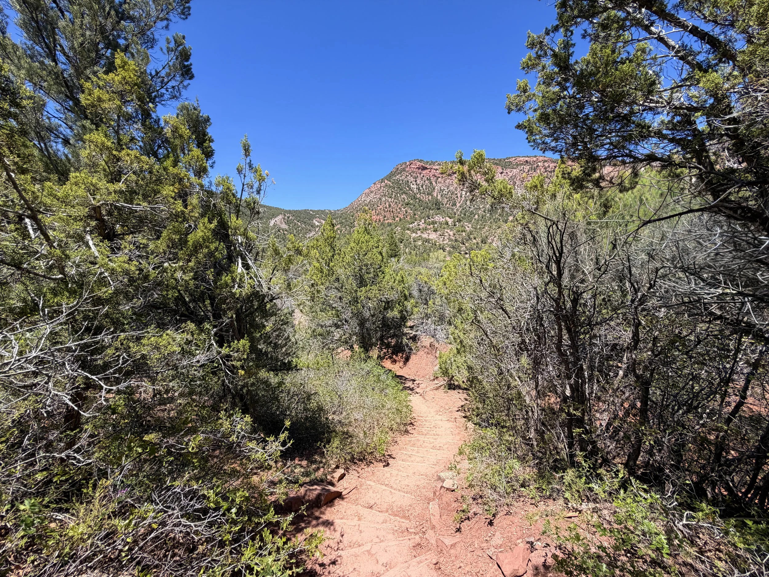Taylor Creek Trail Zion National Park Utah