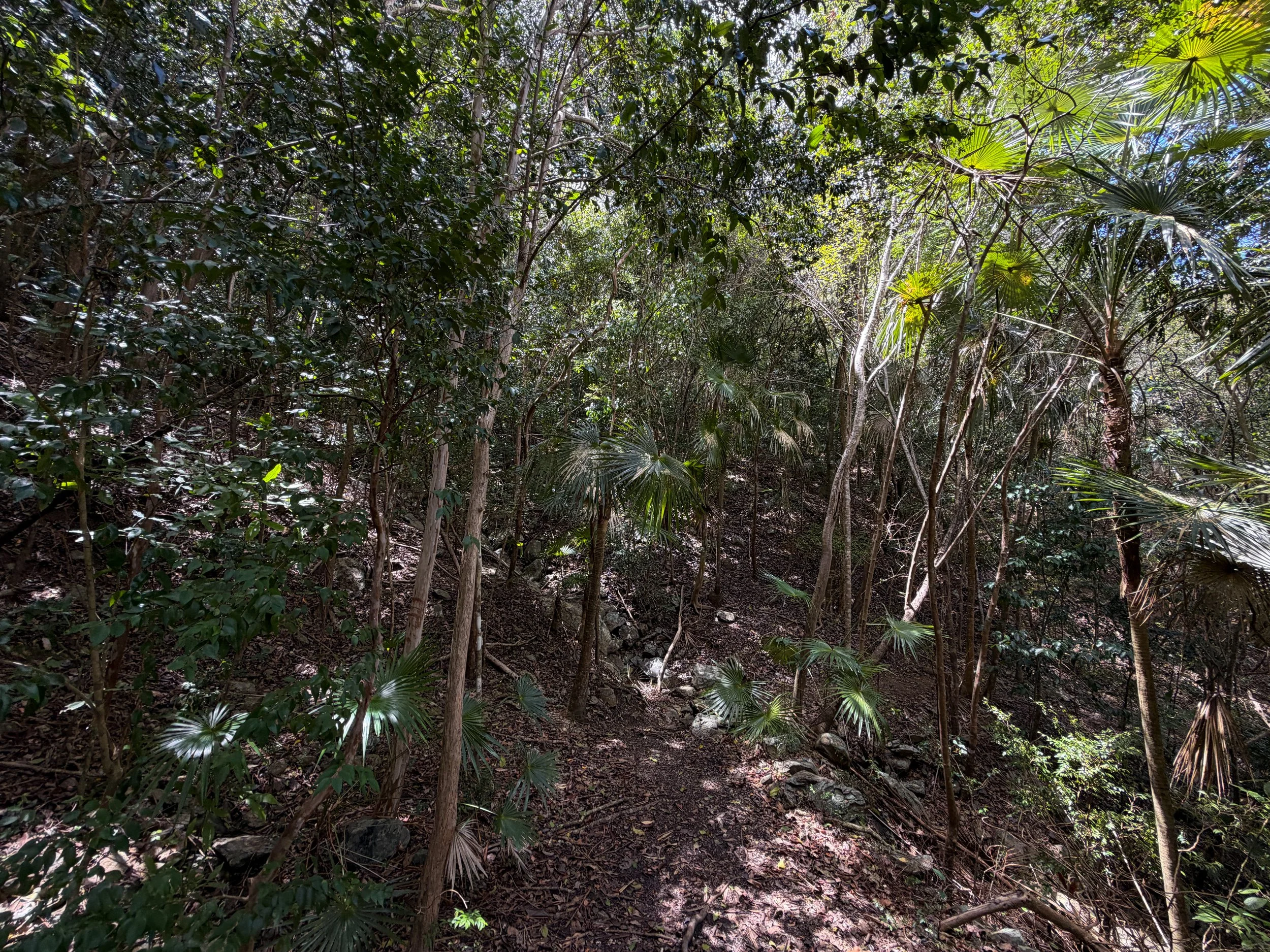 Maria Hope Trail Virgin Islands National Park